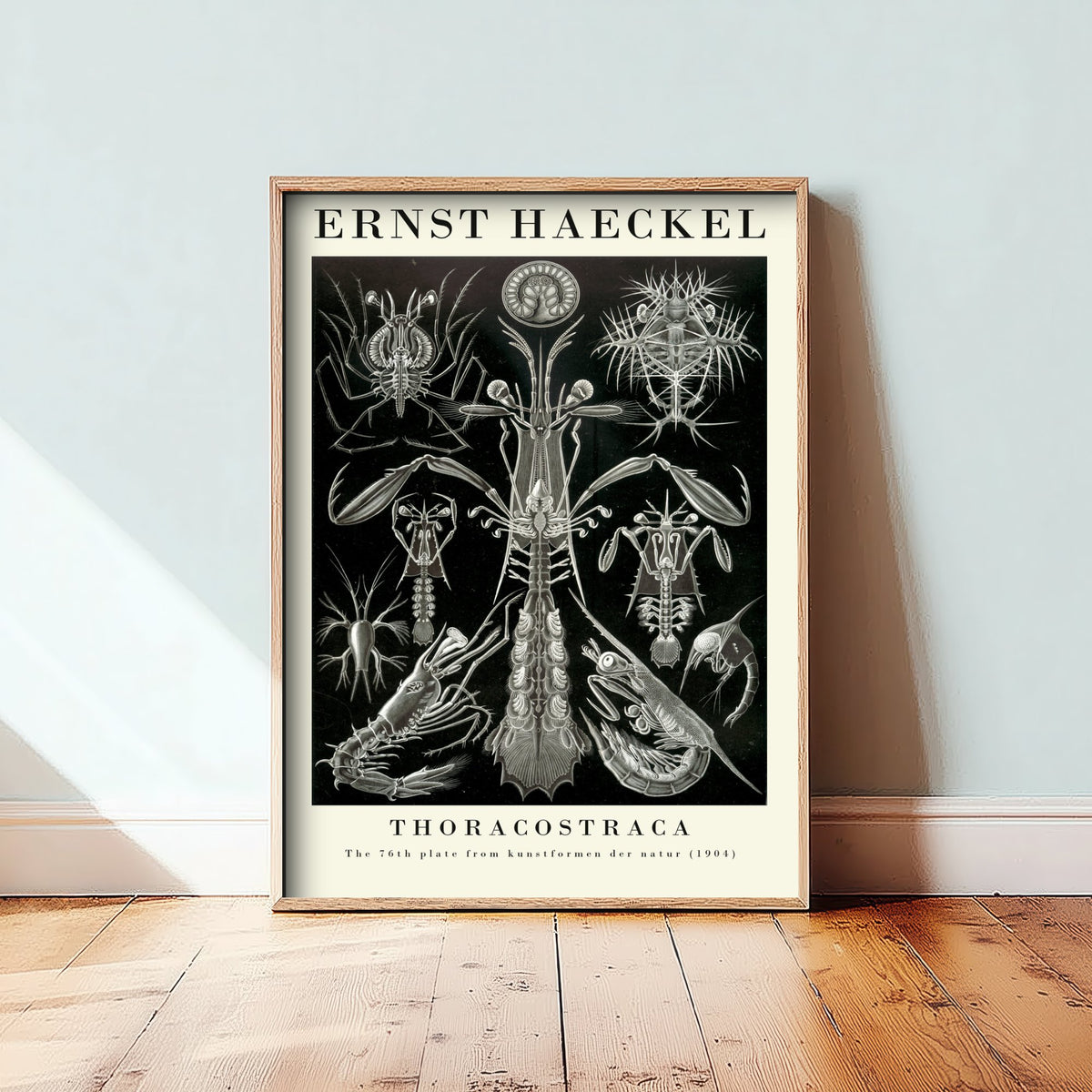 Crustaceans Art Print - Ernst Haeckel Poster - Thoracostraca Plate 76 - Art Forms in Nature Vintage Illustration