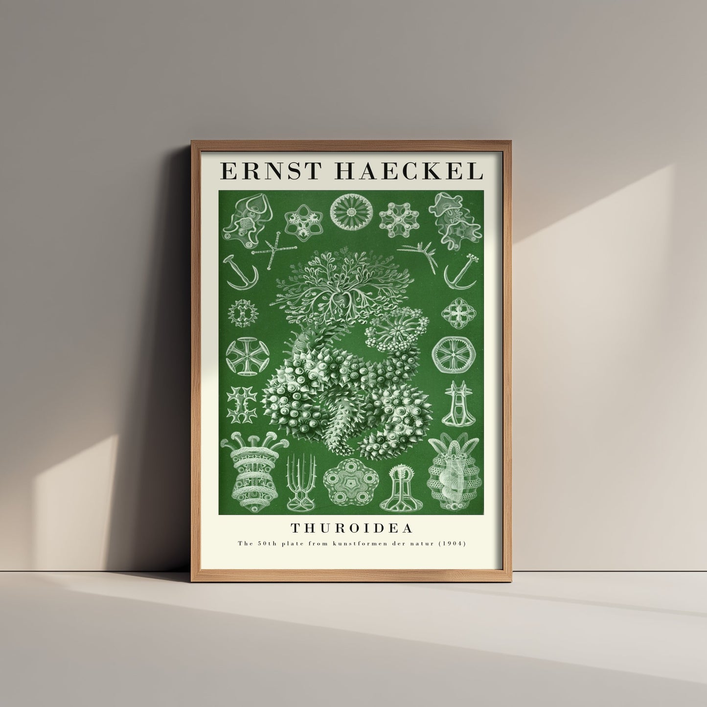 Sea Cucumbers Art Print - Ernst Haeckel Poster - Thuroidea Plate 50 - Art Forms in Nature Vintage Illustration