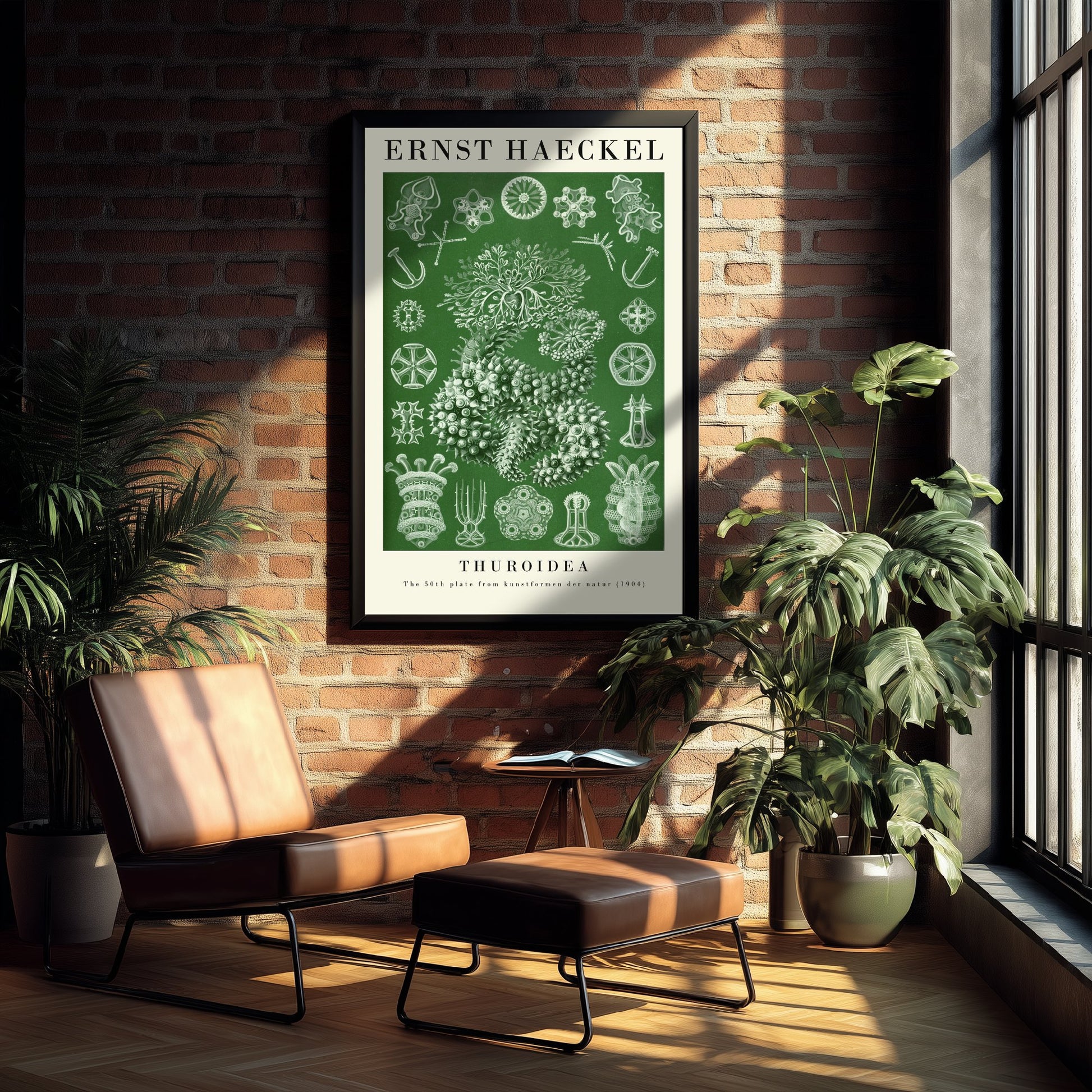 Sea Cucumbers Art Print - Ernst Haeckel Poster - Thuroidea Plate 50 - Art Forms in Nature Vintage Illustration