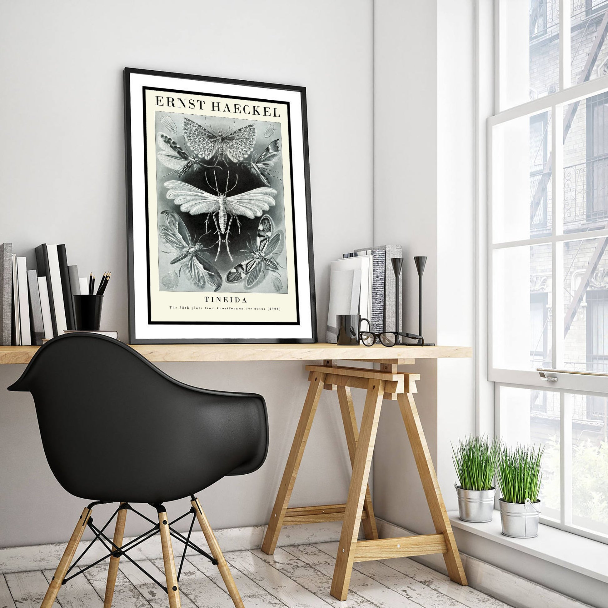 Moths Art Print - Ernst Haeckel Poster - Tineida Plate 58 - Art Forms in Nature Vintage Illustration