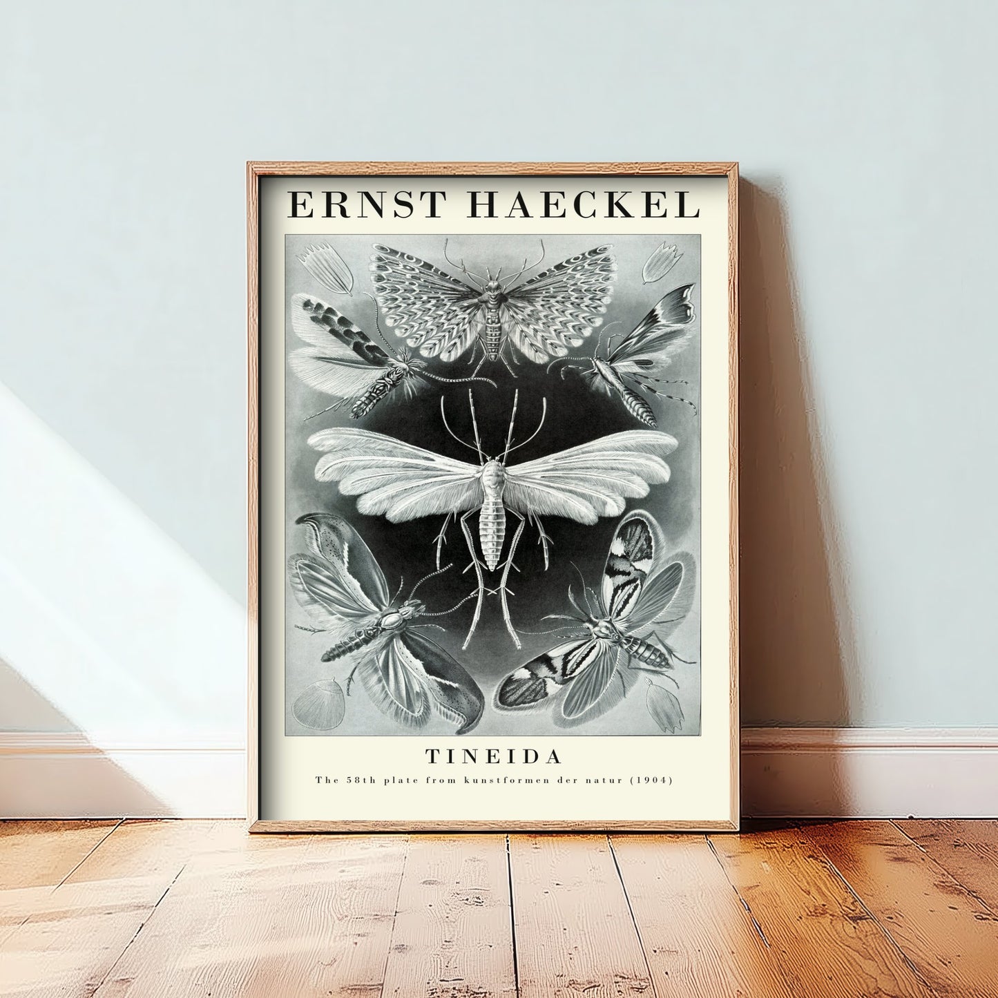 Moths Art Print - Ernst Haeckel Poster - Tineida Plate 58 - Art Forms in Nature Vintage Illustration