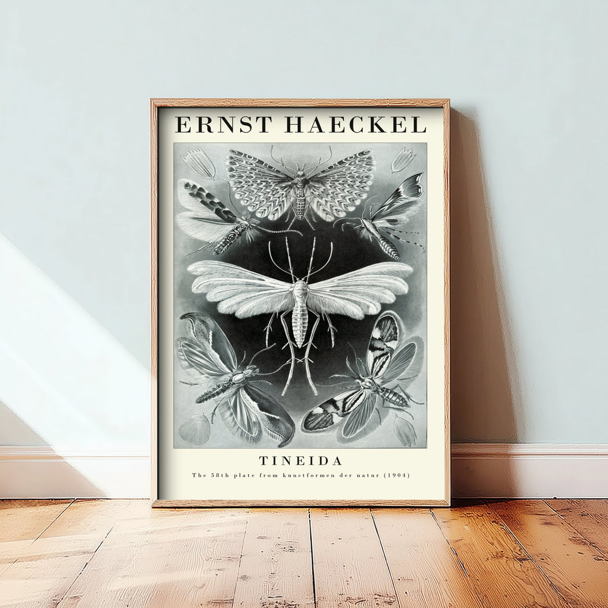Moths Art Print - Ernst Haeckel Poster - Tineida Plate 58 - Art Forms in Nature Vintage Illustration
