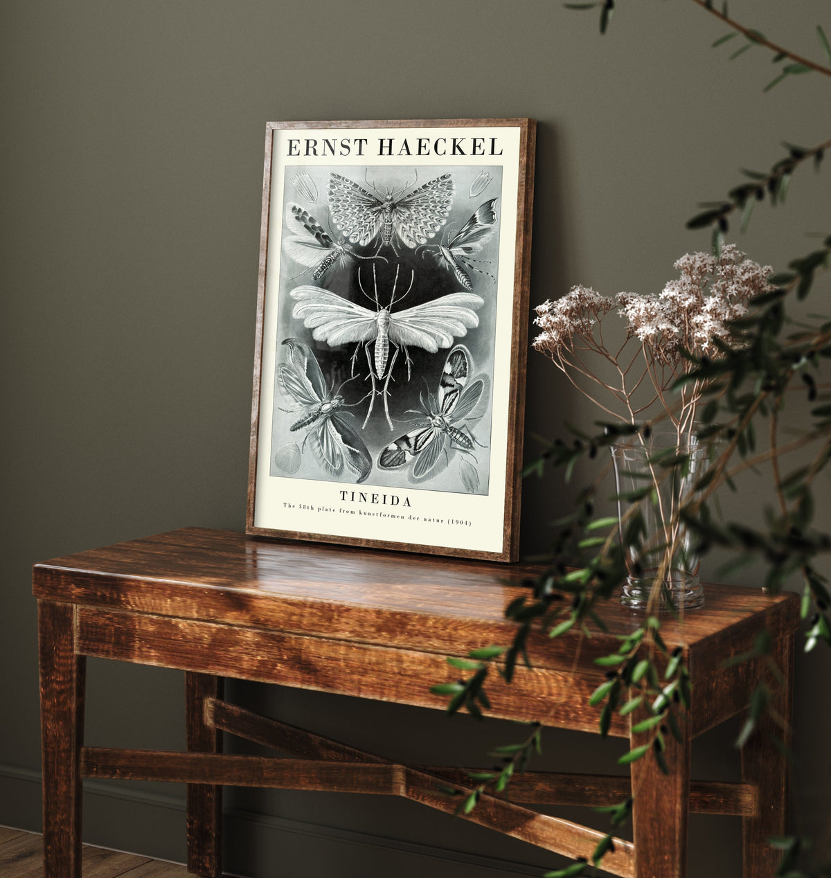 Moths Art Print - Ernst Haeckel Poster - Tineida Plate 58 - Art Forms in Nature Vintage Illustration