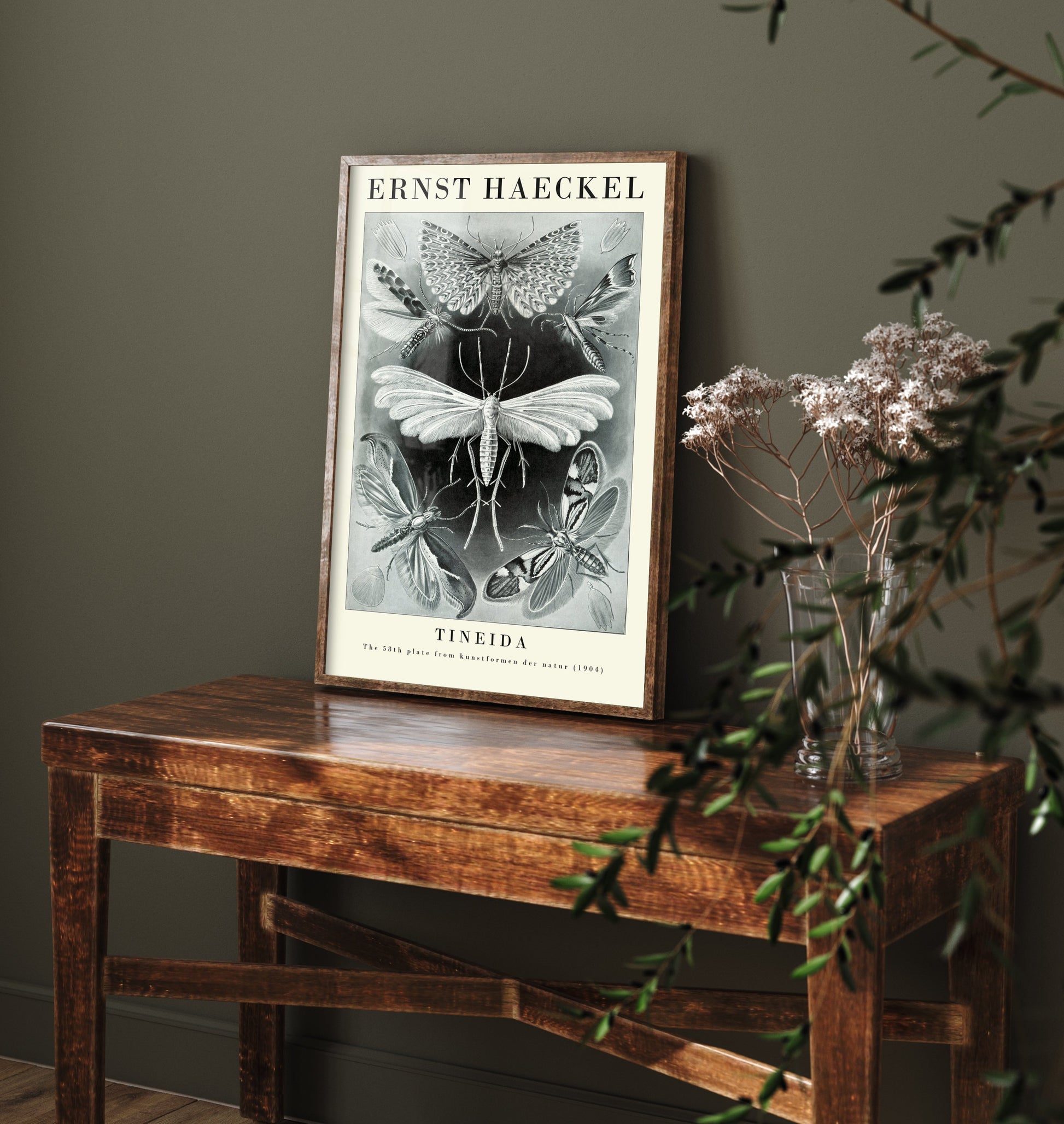 Moths Art Print - Ernst Haeckel Poster - Tineida Plate 58 - Art Forms in Nature Vintage Illustration