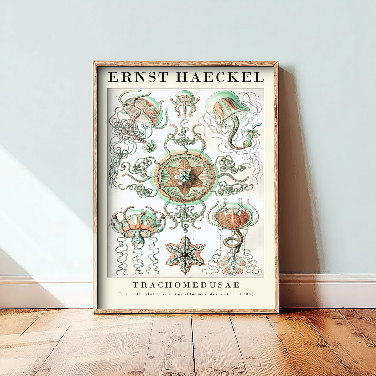 Jellyfish Art Print - Ernst Haeckel Poster - Trachomedusae Plate 26 - Art Forms in Nature Vintage Illustration