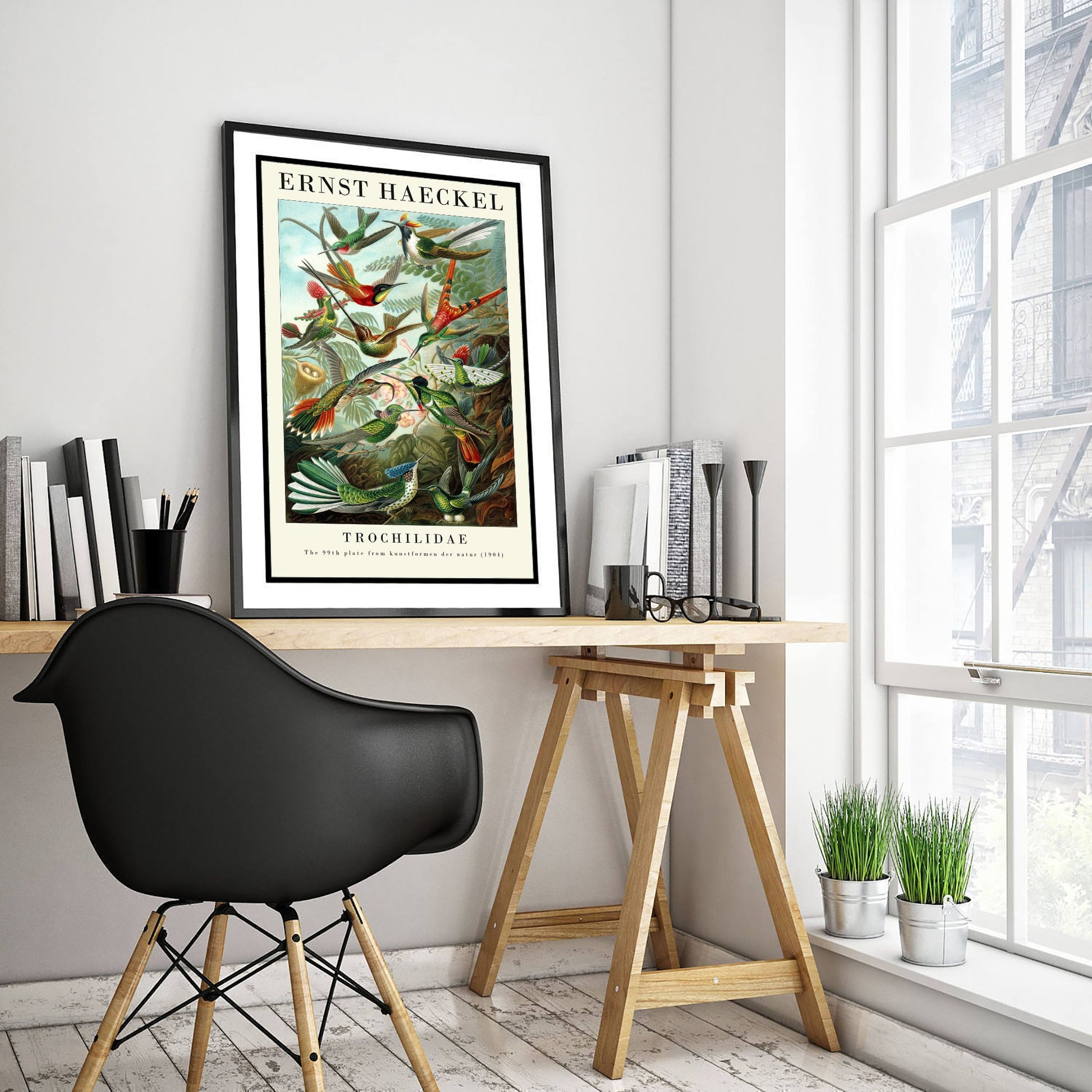 Hummingbirds Art Print - Ernst Haeckel Poster - Trochilidae Plate 99 - Art Forms in Nature Vintage Illustration