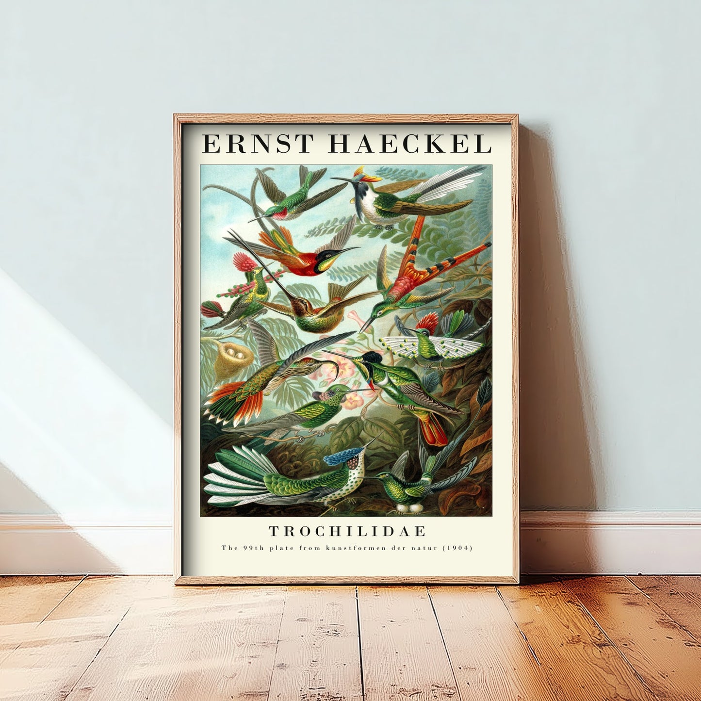 Hummingbirds Art Print - Ernst Haeckel Poster - Trochilidae Plate 99 - Art Forms in Nature Vintage Illustration