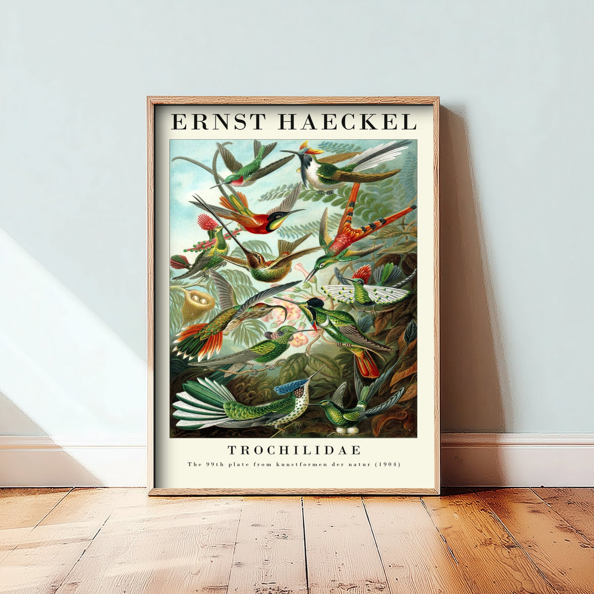 Hummingbirds Art Print - Ernst Haeckel Poster - Trochilidae Plate 99 - Art Forms in Nature Vintage Illustration