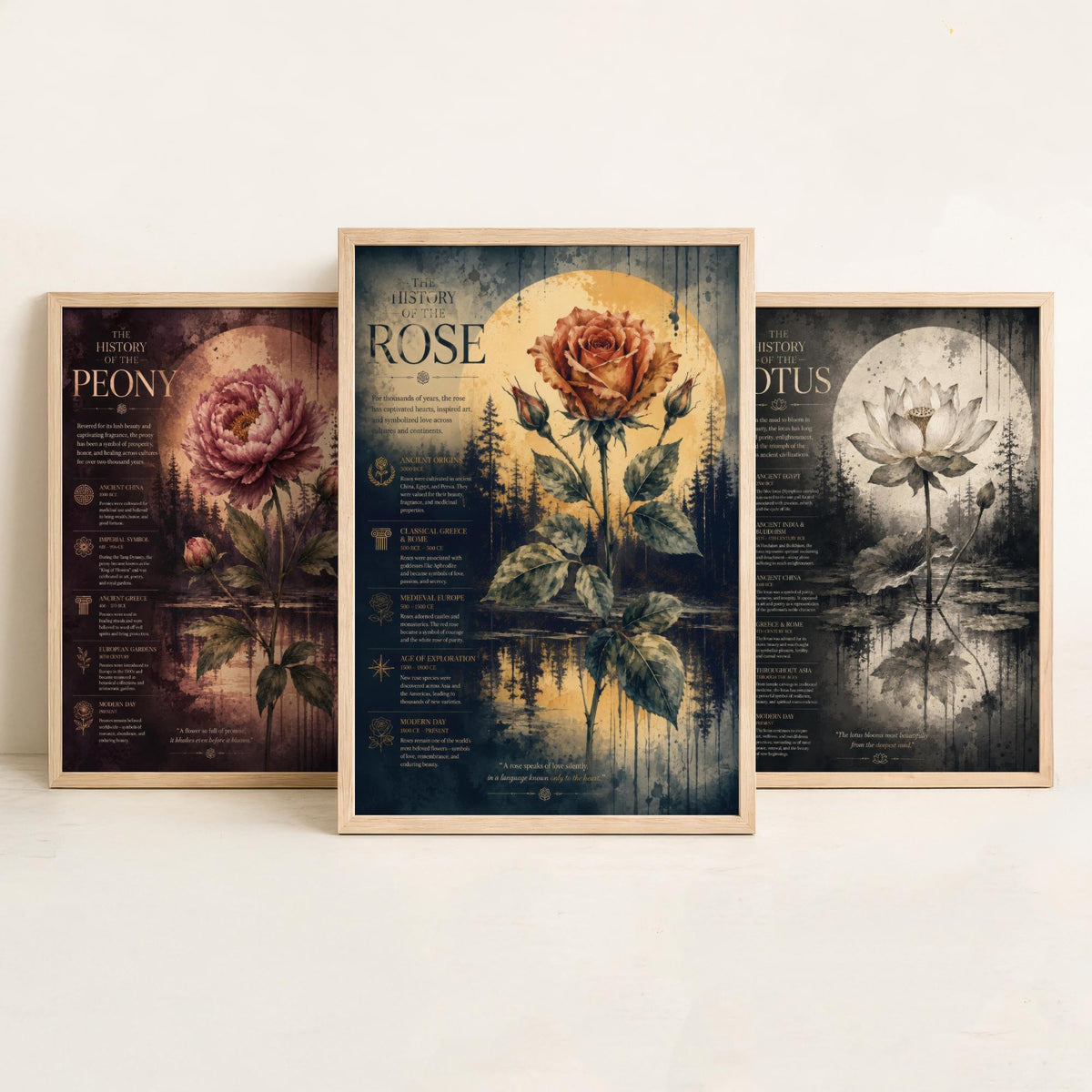 Flower History Set of Three Art Prints - 3 Peony Lotus Rose Botanical Posters - Vintage Wall Art Gift Illustration Educational
