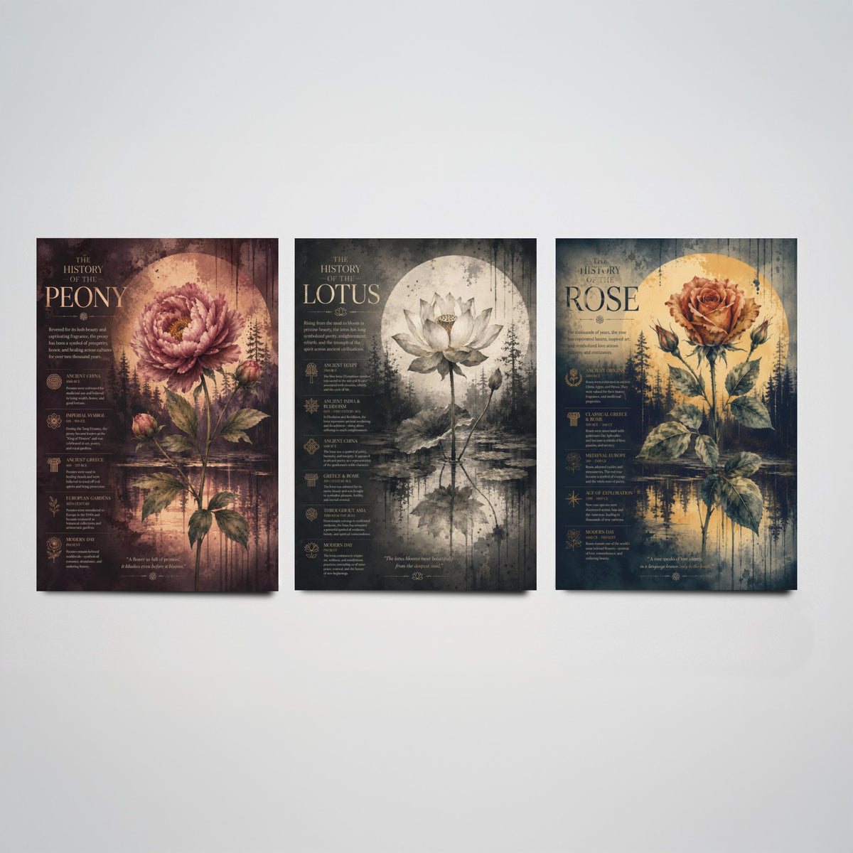 Flower History Set of Three Art Prints - 3 Peony Lotus Rose Botanical Posters - Vintage Wall Art Gift Illustration Educational
