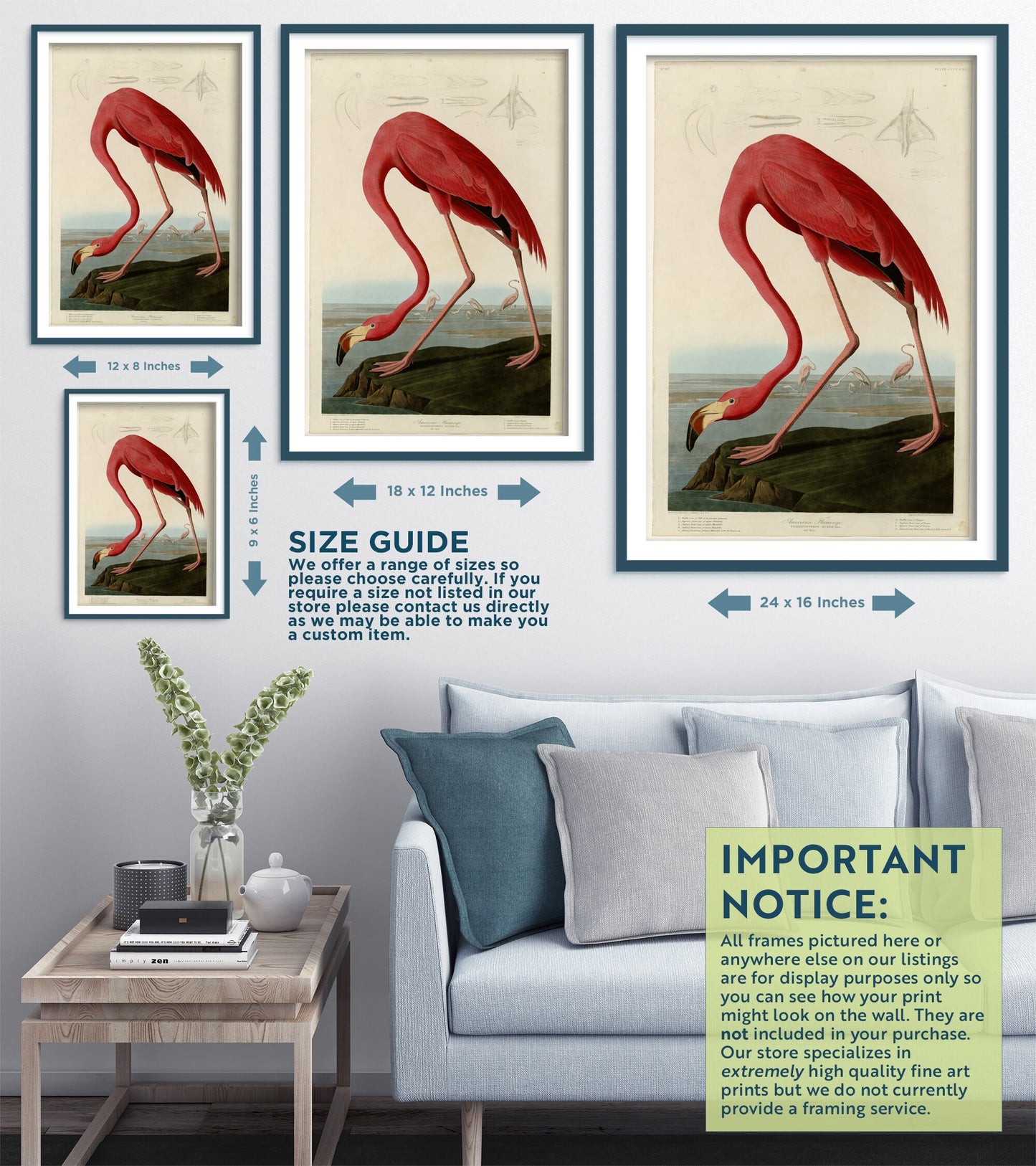 Set of Three John James Audubon Prints - 3 Classic Paintings - Photo Poster Wall Art Gift Giclée - Flamingo, Pigeon Hawk, Great Blue Heron