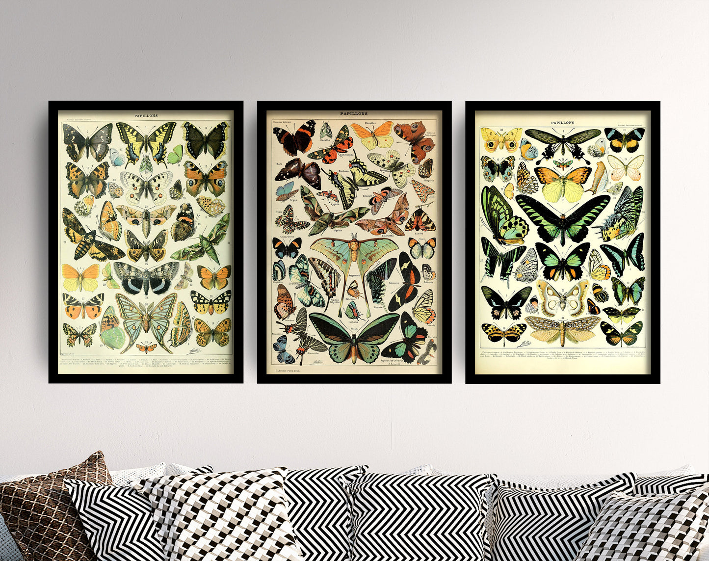 Set of Three Vintage Butterfly Prints - 3 Adolphe Millot Paintings - Photo Poster Wall Art Gift Giclée Museum Quality Décor Botanical