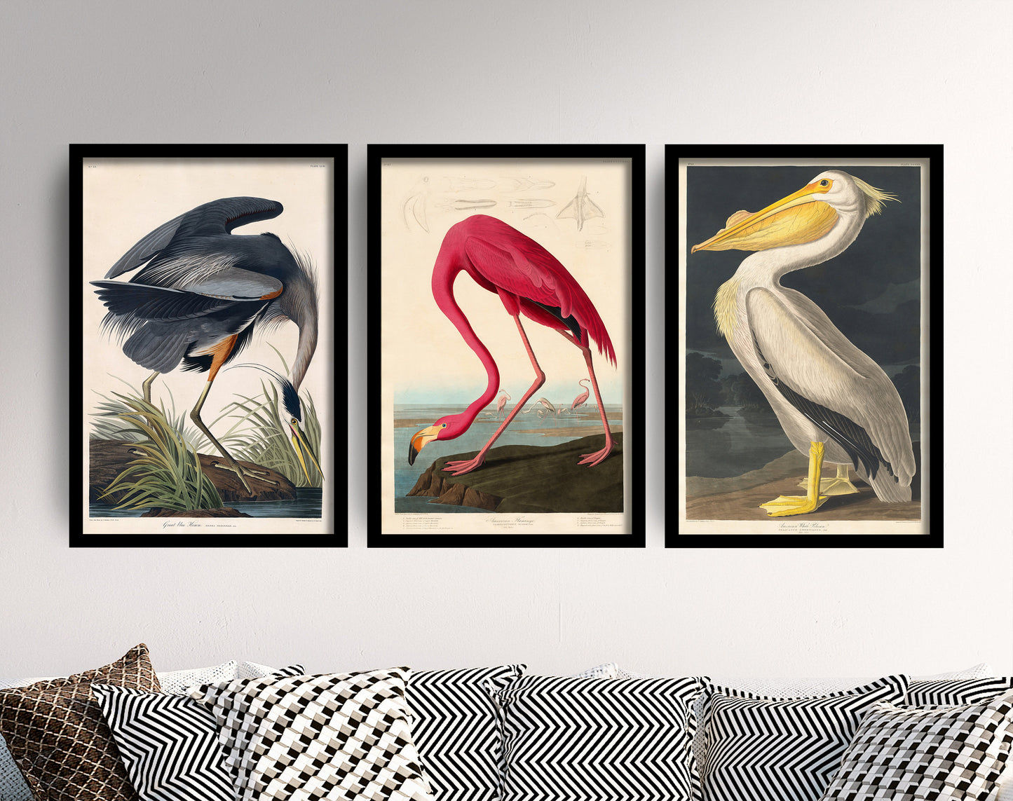 Set of Three John James Audubon Prints - 3 Classic Paintings - Poster Wall Art Giclée - Flamingo, American White Pelican, Great Blue Heron