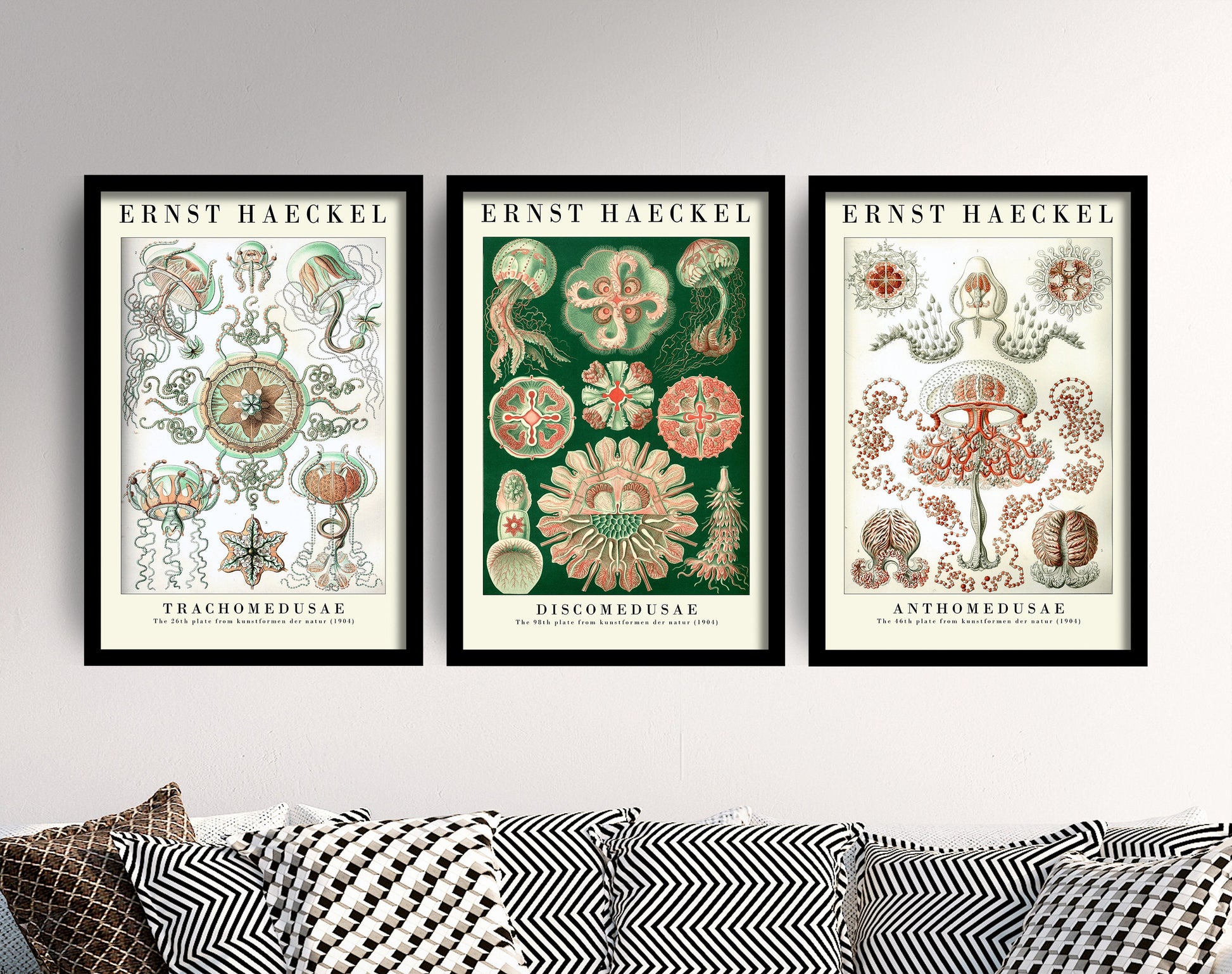 Set of Three Vintage Ernst Haeckel Marine Prints - The Jellyfish Collection - Painting Poster Wall Art Gift Botany Botanical Jelly Fish