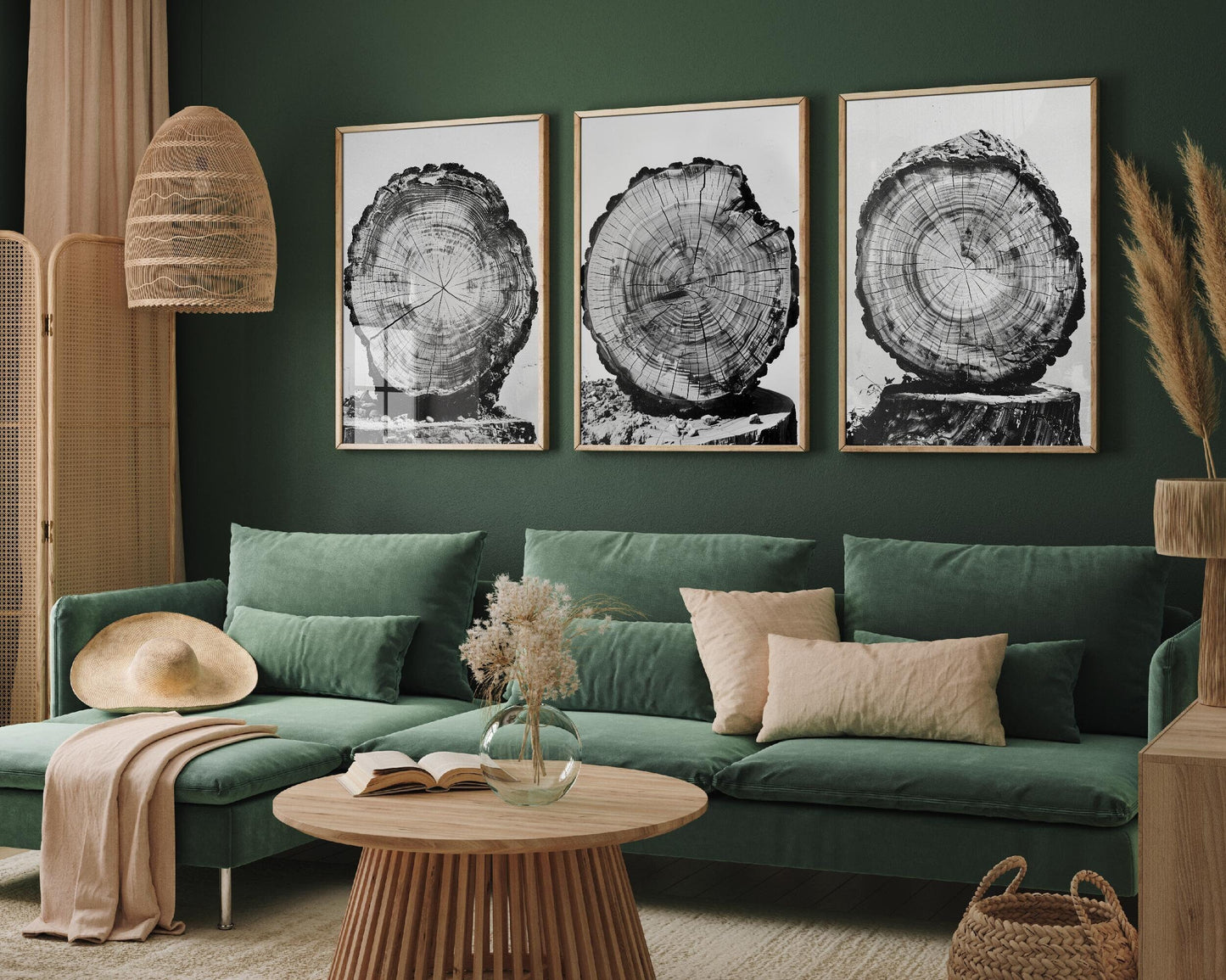 Set of Three Tree Rings Balancing on Stumps Triptych - 3 Natural Pattern Art Prints - Photo Poster Wall Gift, Wood Wooden Painting