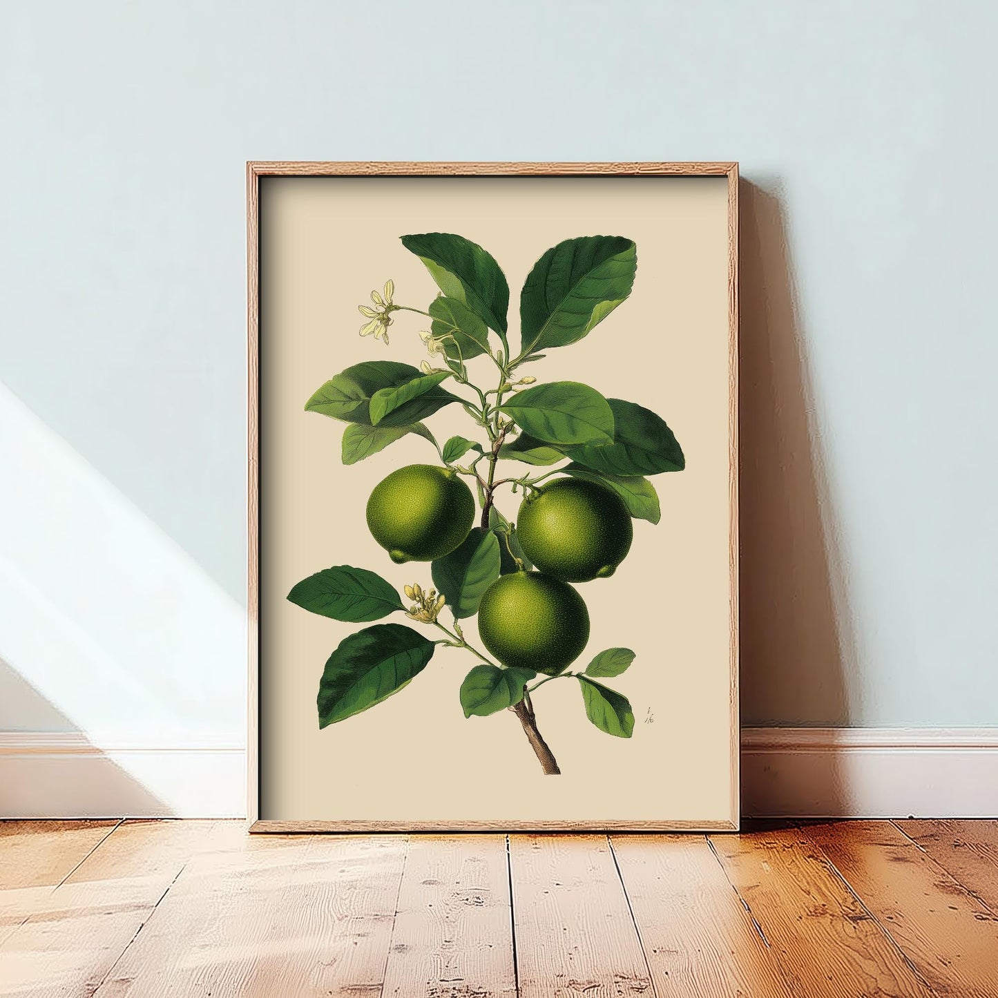 Limes Vintage Botanical Fruit Art Print - Painting - Poster Cooking Kitchen