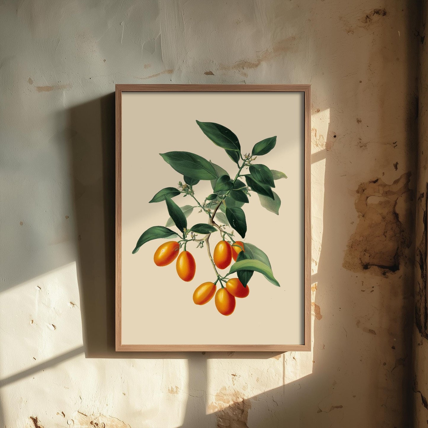 Kumquats Vintage Botanical Fruit Art Print - Painting - Poster Cooking Kitchen