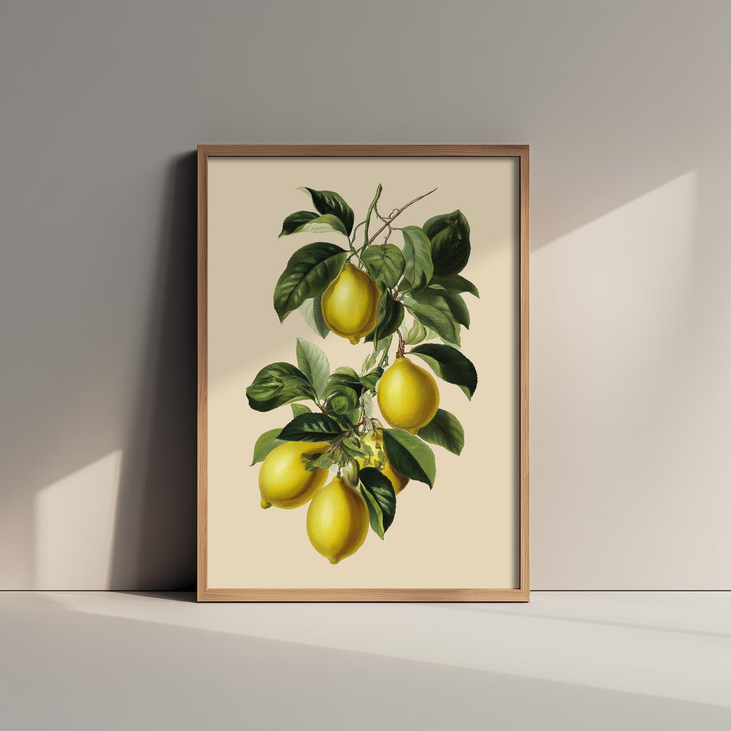 Lemons Vintage Botanical Fruit Art Print - Painting - Poster Cooking Kitchen