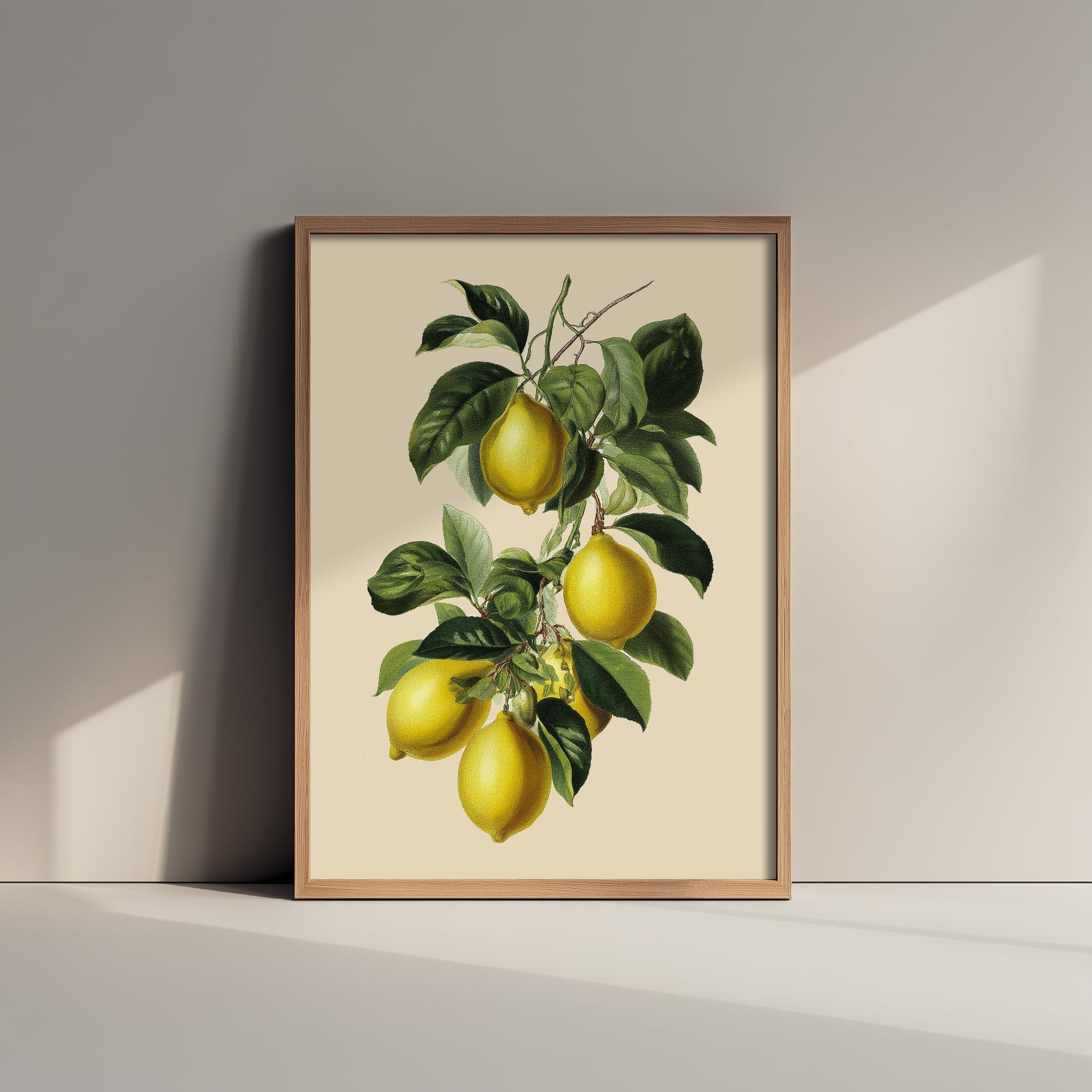 Lemons Vintage Botanical Fruit Art Print - Painting - Poster Cooking Kitchen