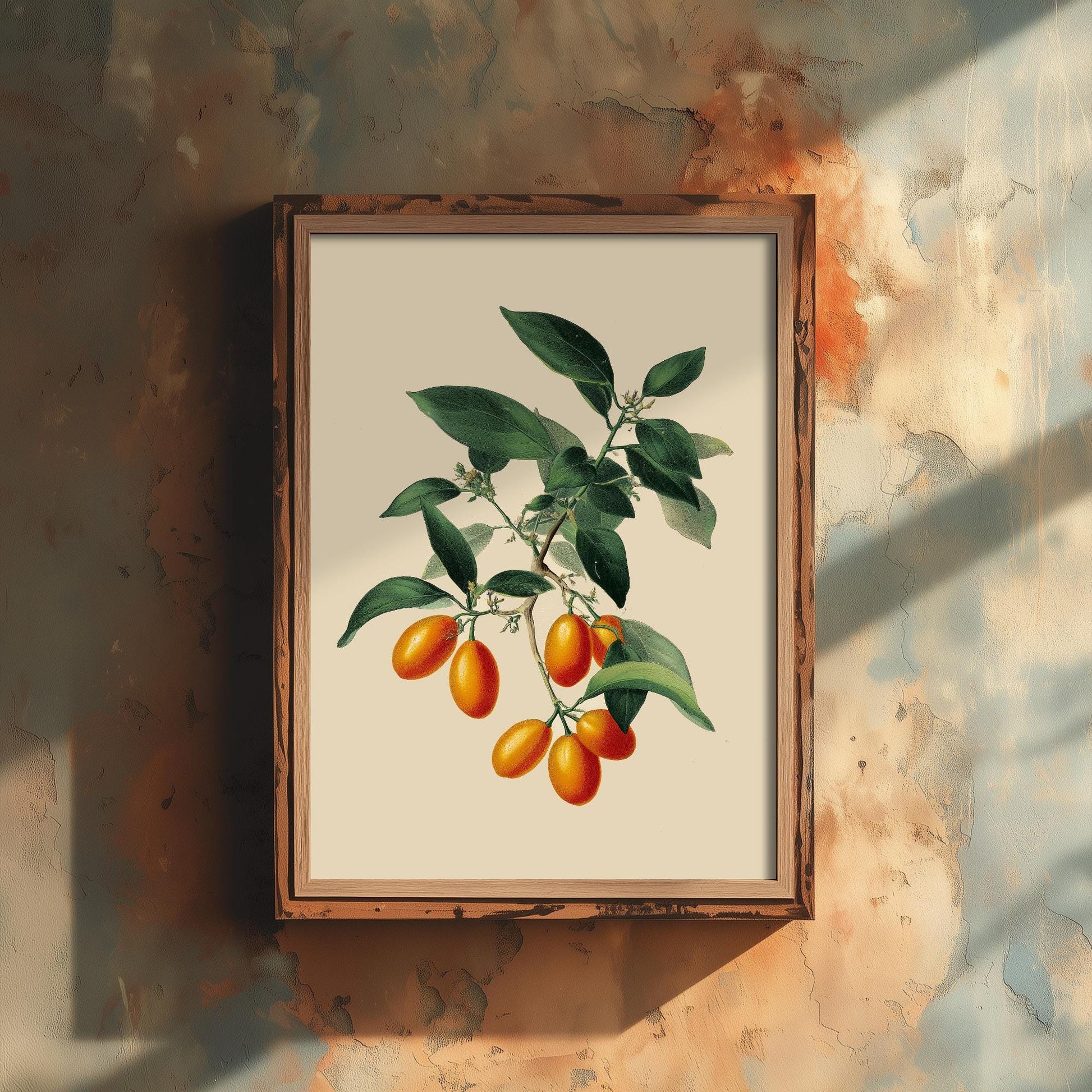 Kumquats Vintage Botanical Fruit Art Print - Painting - Poster Cooking Kitchen
