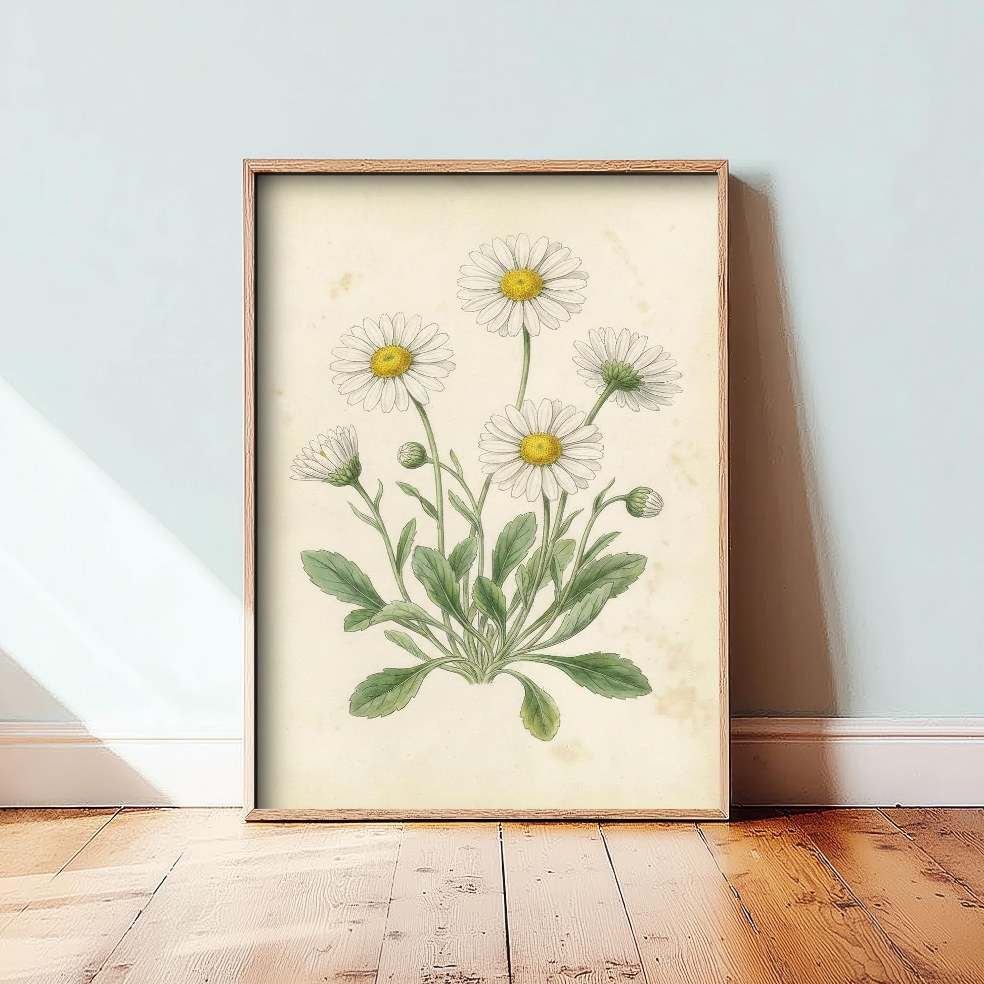 Daisy Vintage Flower Print - Floral Plants - Painting Photo Poster Wall Art Gift Bouquet Botanical