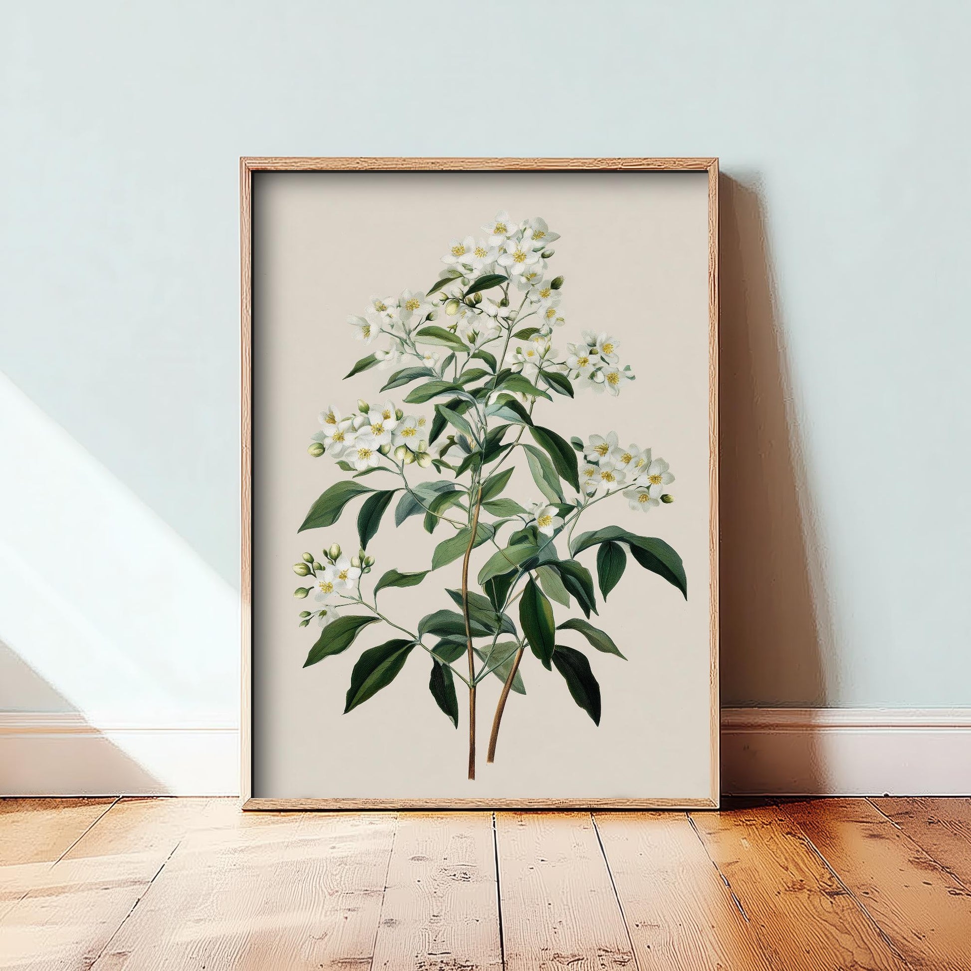 Vintage Botanical Print, Orange Sweet Alyssum Cosmos Painting, Sage Green Heritage Wall Art, Modern Floral Poster V1 1/3