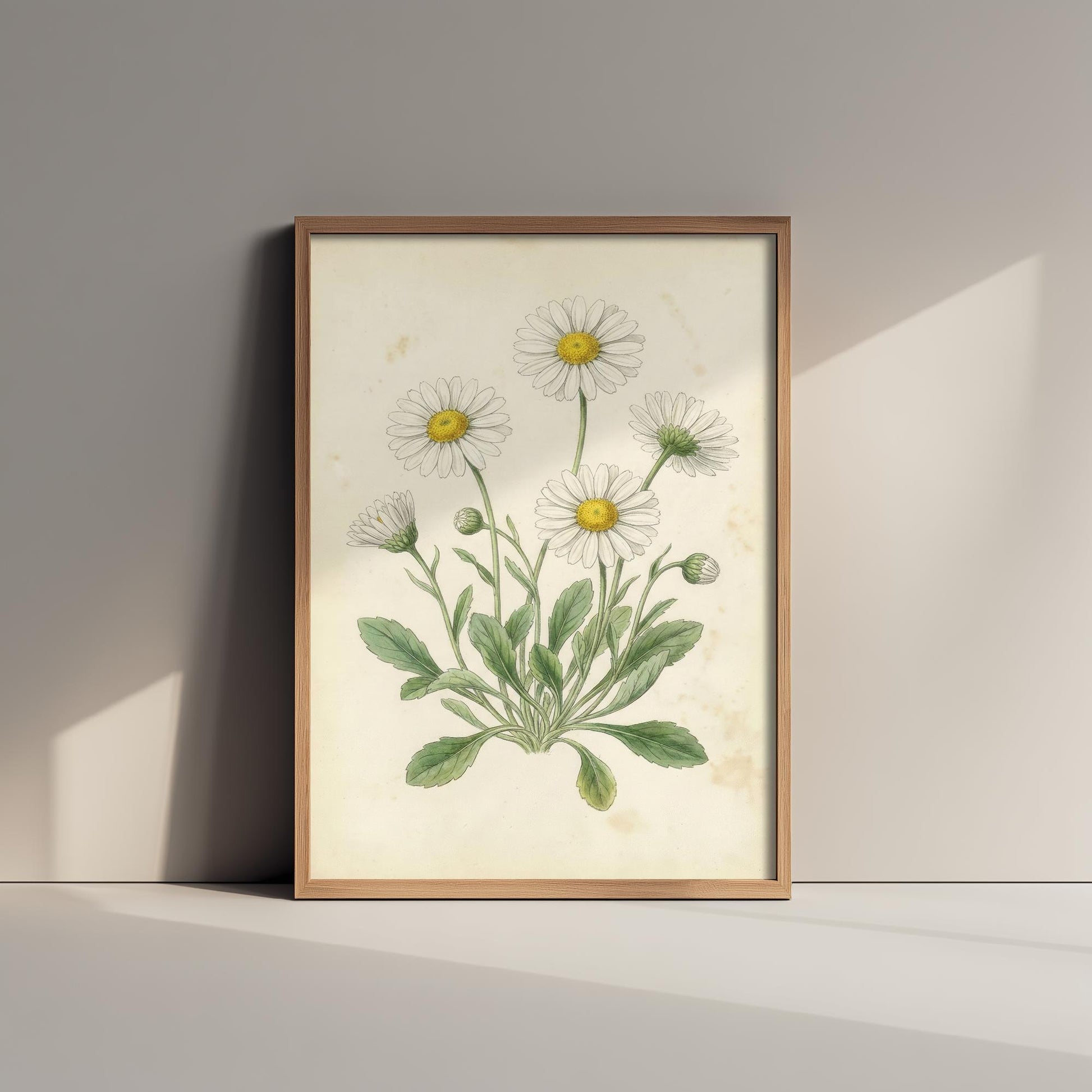Daisy Vintage Flower Print - Floral Plants - Painting Photo Poster Wall Art Gift Bouquet Botanical