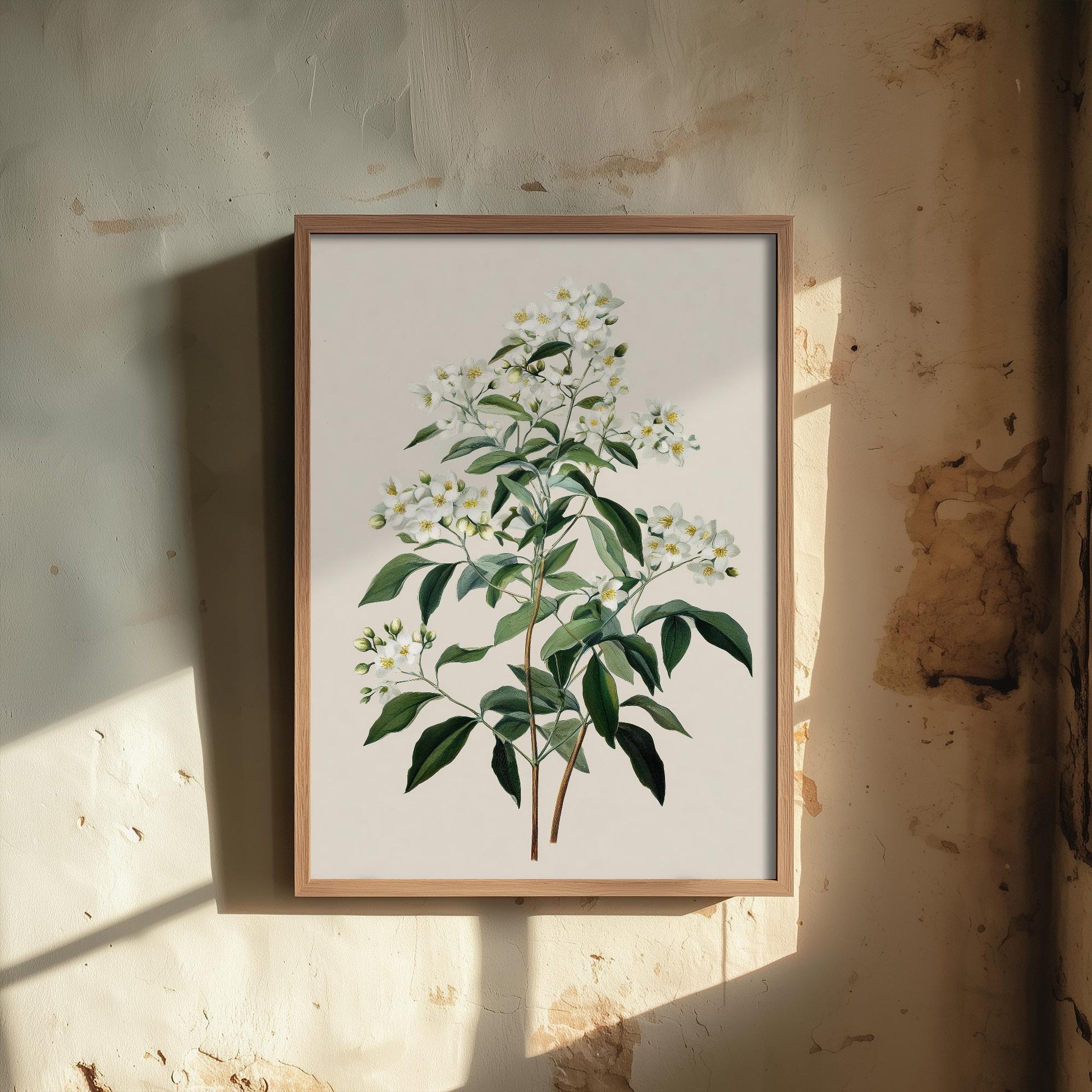 Vintage Botanical Print, Orange Sweet Alyssum Cosmos Painting, Sage Green Heritage Wall Art, Modern Floral Poster V1 1/3