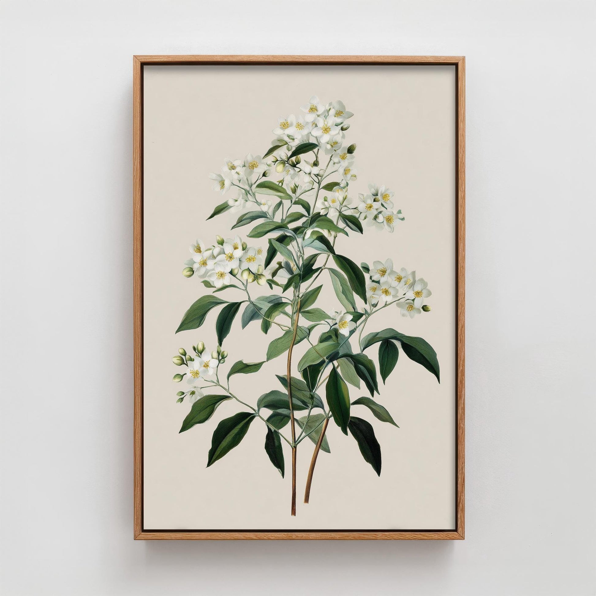 Vintage Botanical Print, Orange Sweet Alyssum Cosmos Painting, Sage Green Heritage Wall Art, Modern Floral Poster V1 1/3