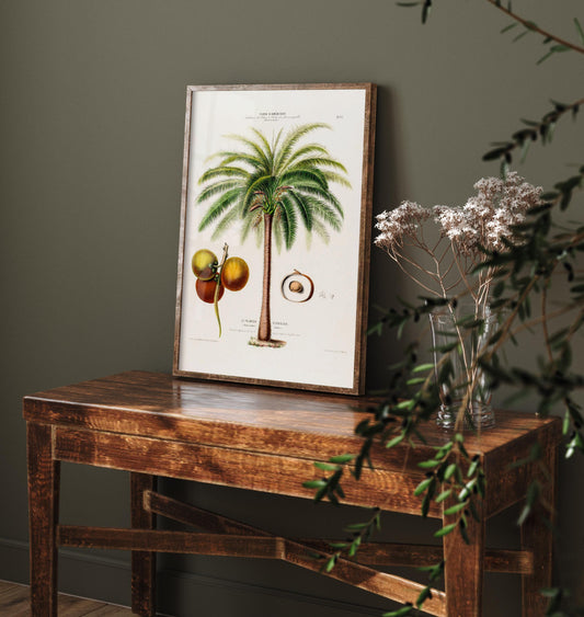 Palm Tree Vintage Illustration - Old Antique Style Poster - Gift Animal Art Print