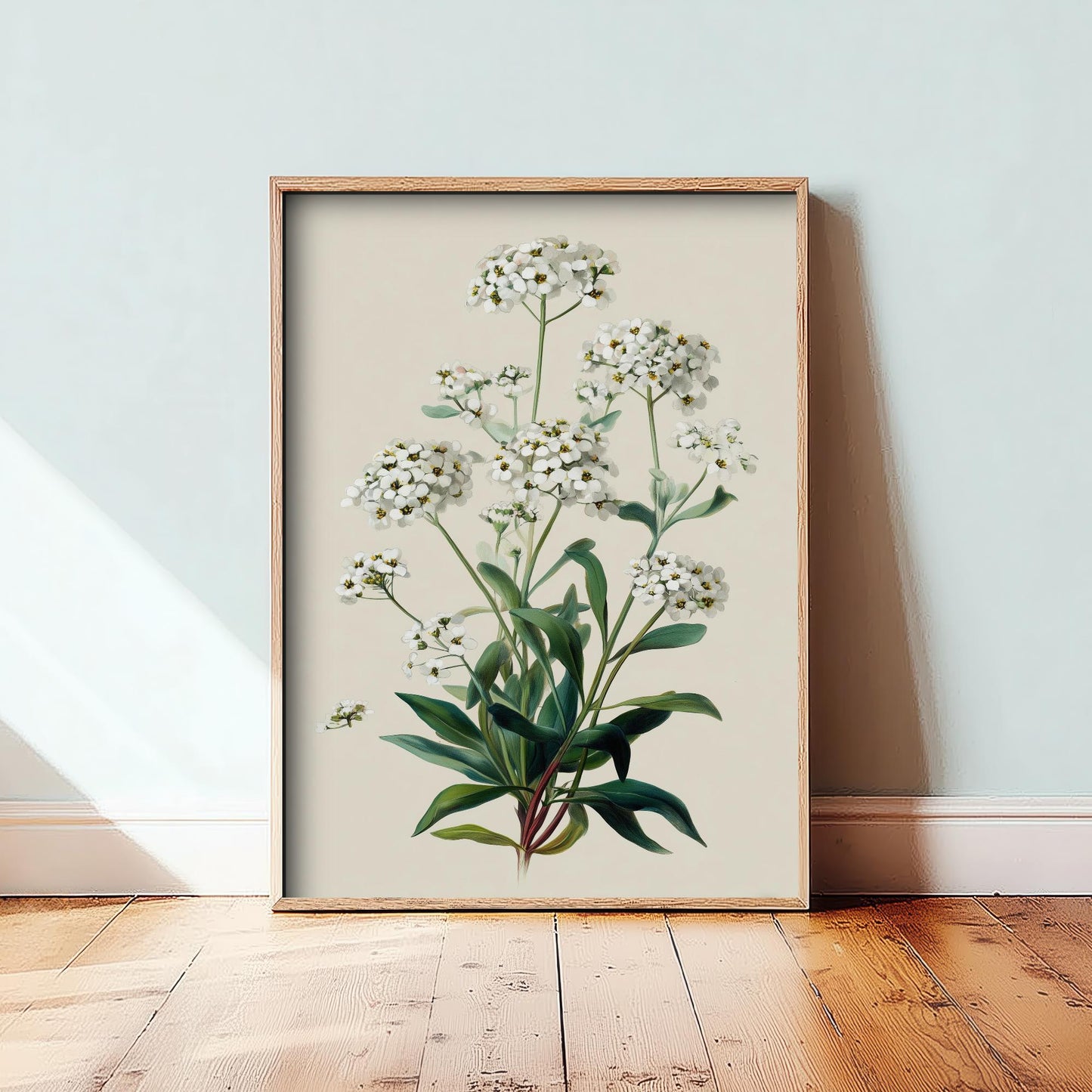 Vintage Botanical Print, Orange Sweet Alyssum Cosmos Painting, Sage Green Heritage Wall Art, Modern Floral Poster V1 2/3