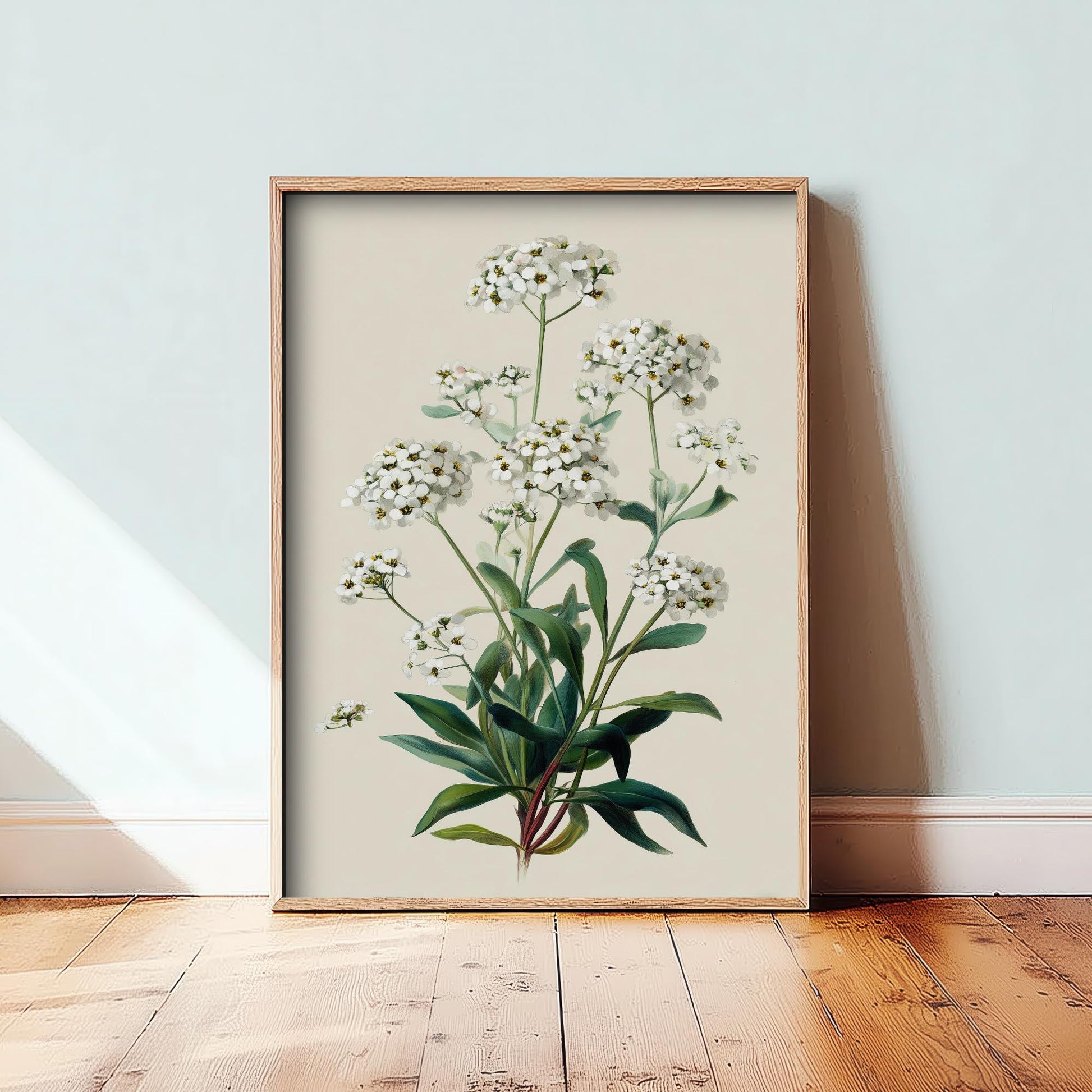 Vintage Botanical Print, Orange Sweet Alyssum Cosmos Painting, Sage Green Heritage Wall Art, Modern Floral Poster V1 2/3