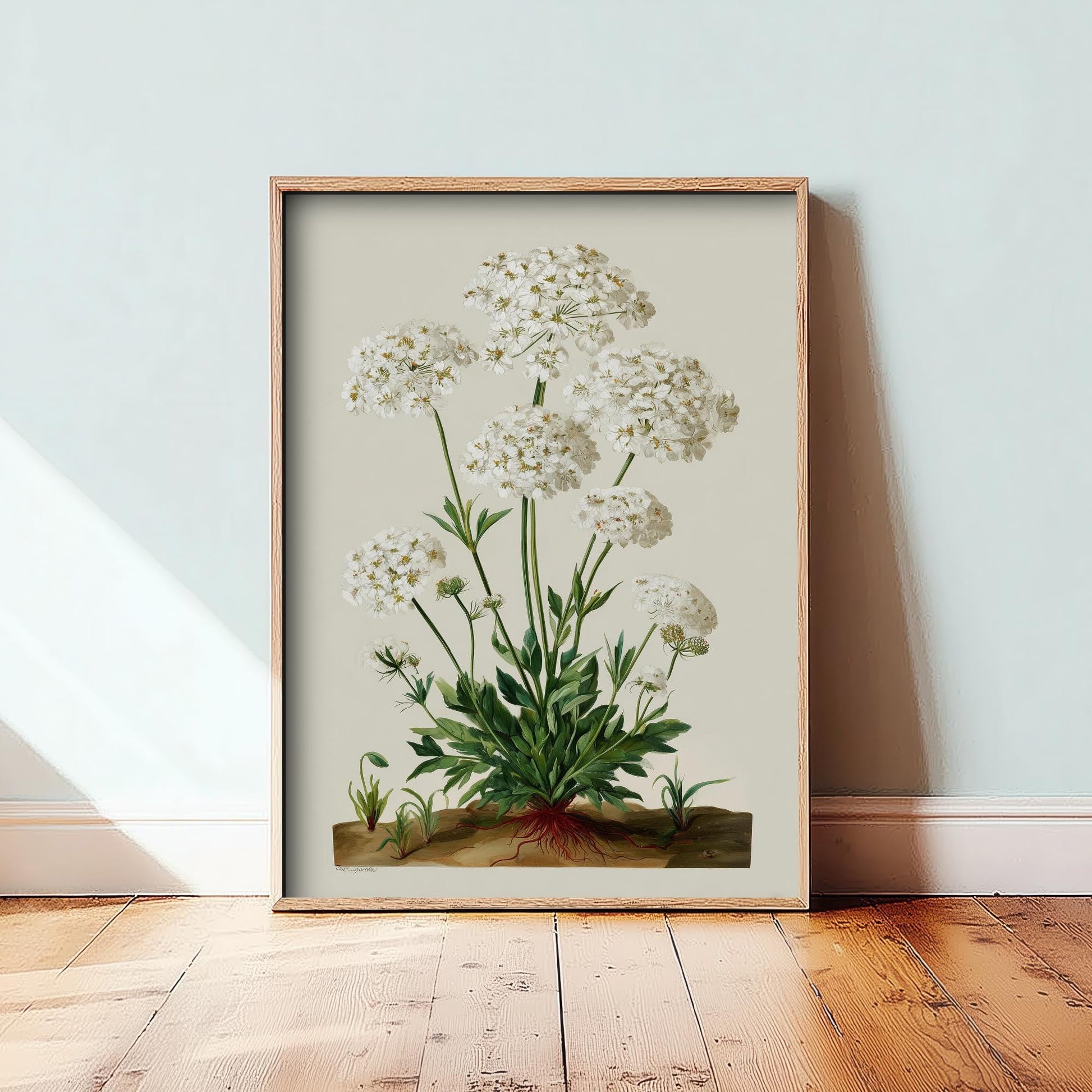 Vintage Queen Anne’s Lace Art Print, Green Poster Painting, Red Berry Heritage Wall Art 2026 V2 2/3