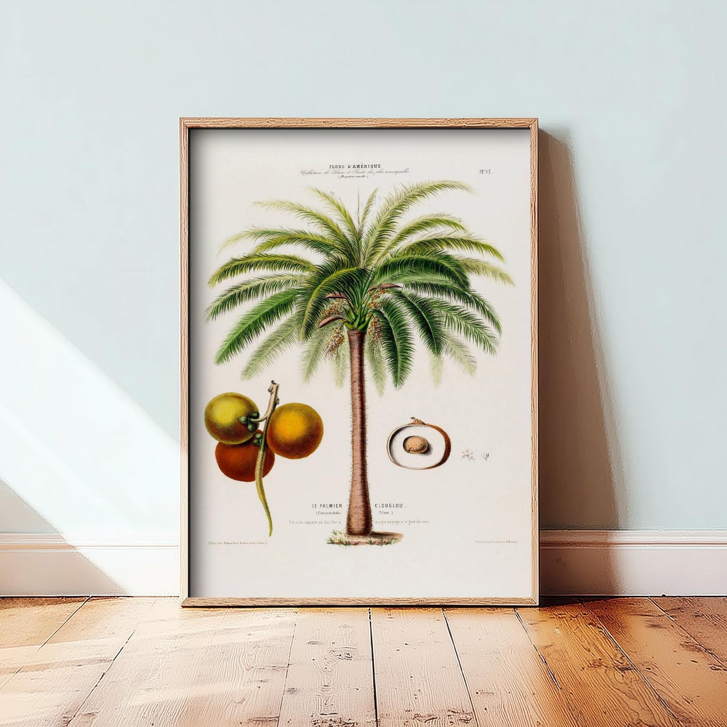 Palm Tree Vintage Illustration - Old Antique Style Poster - Gift Animal Art Print