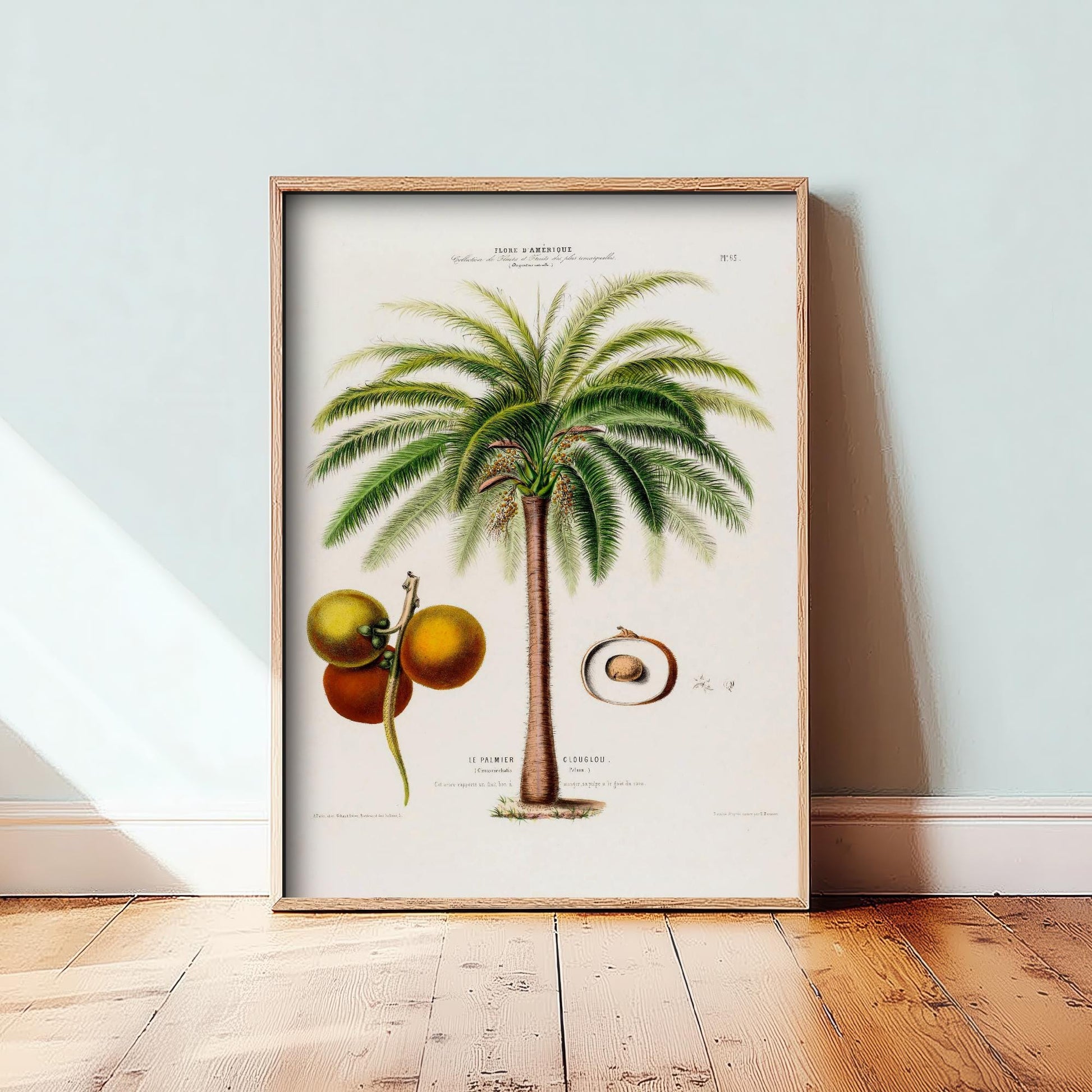 Palm Tree Vintage Illustration - Old Antique Style Poster - Gift Animal Art Print