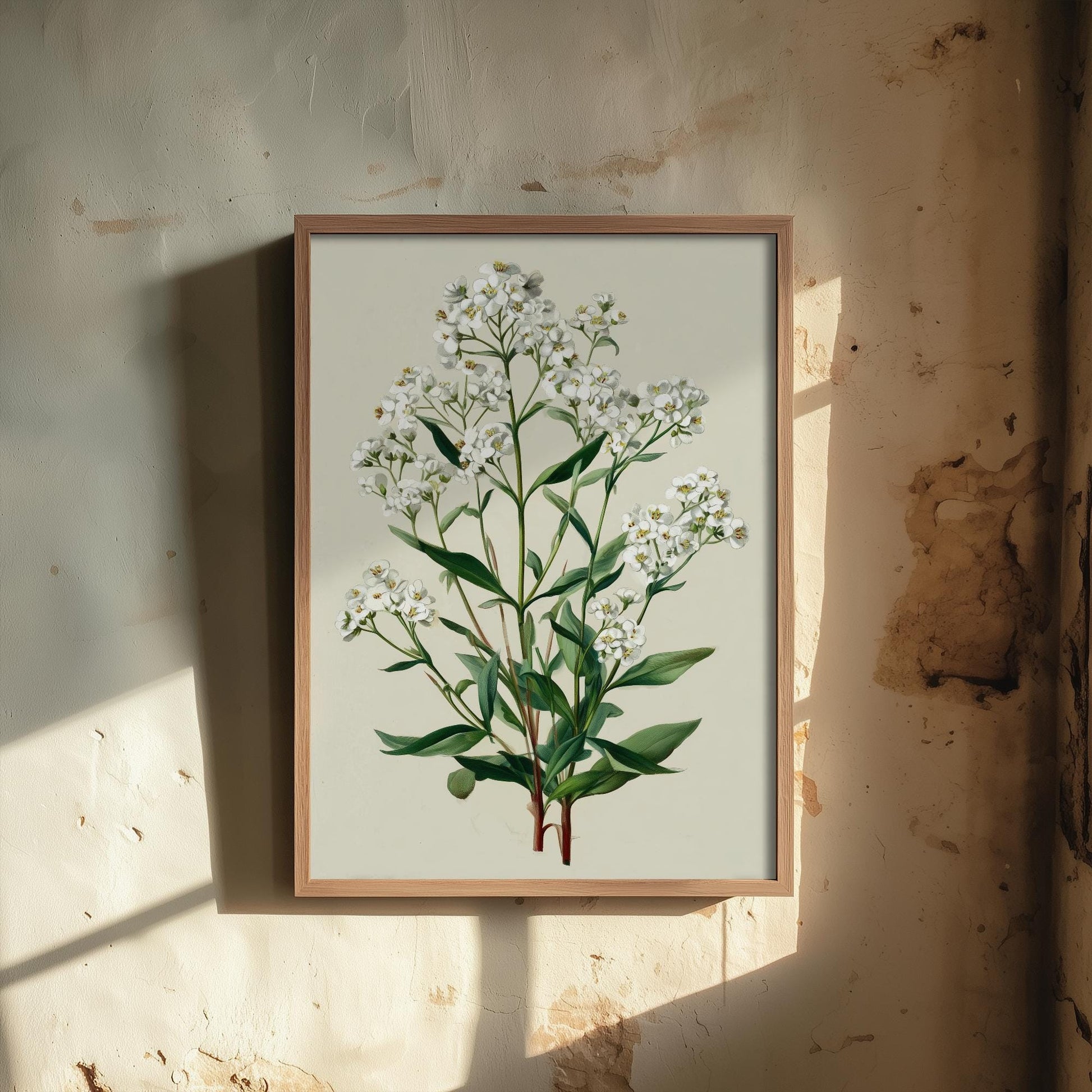 Vintage Plum Blossom or Queen Anne’s Lace Art Print, Green Poster Painting, Red Berry Heritage Wall Art 2026 V2 3/3