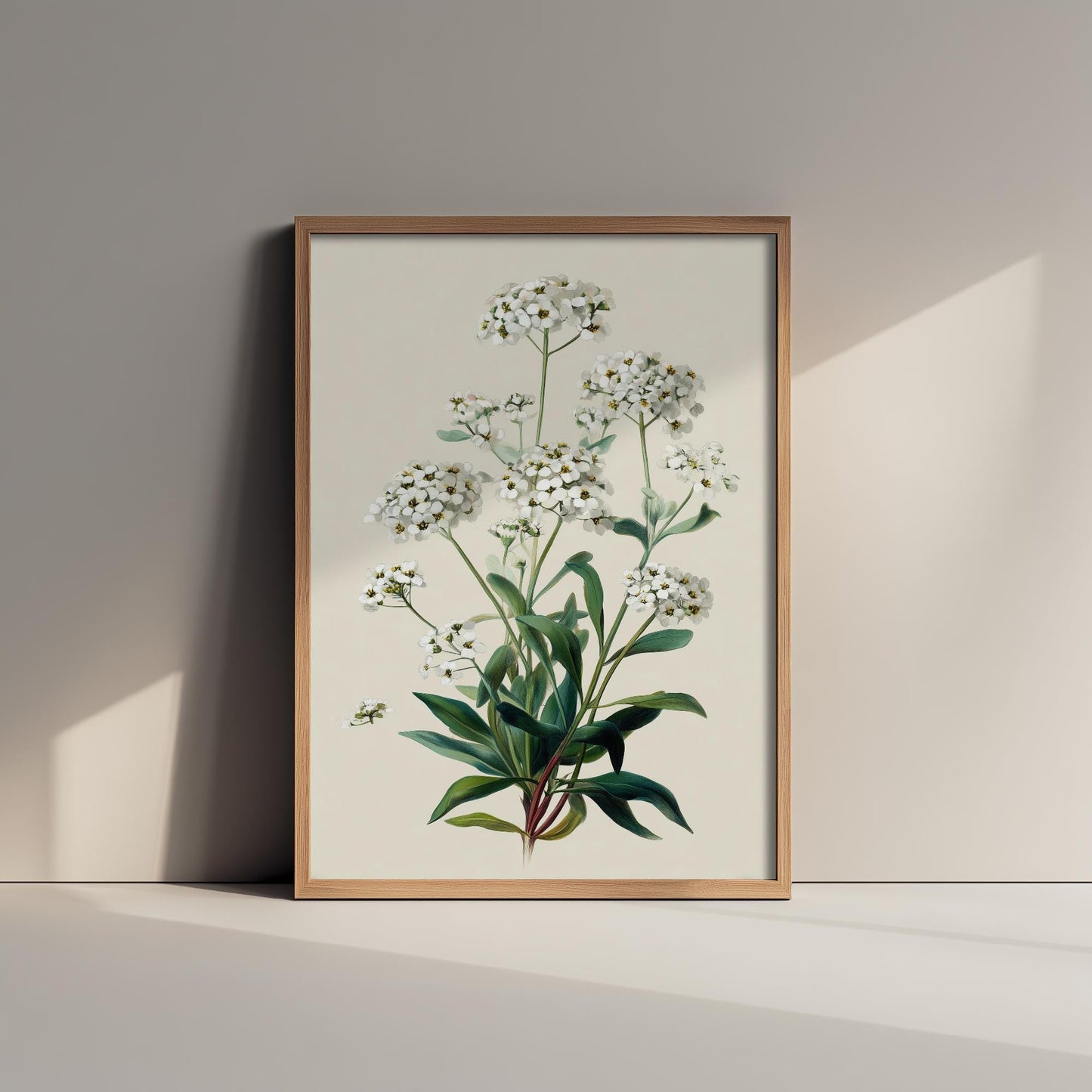 Vintage Botanical Print, Orange Sweet Alyssum Cosmos Painting, Sage Green Heritage Wall Art, Modern Floral Poster V1 2/3