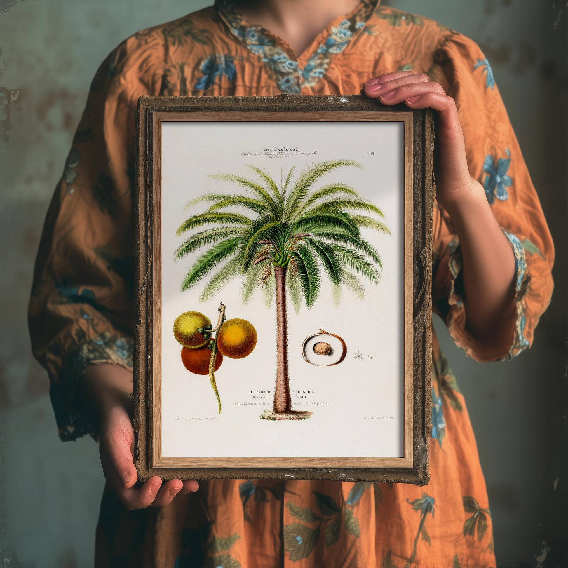 Palm Tree Vintage Illustration - Old Antique Style Poster - Gift Animal Art Print