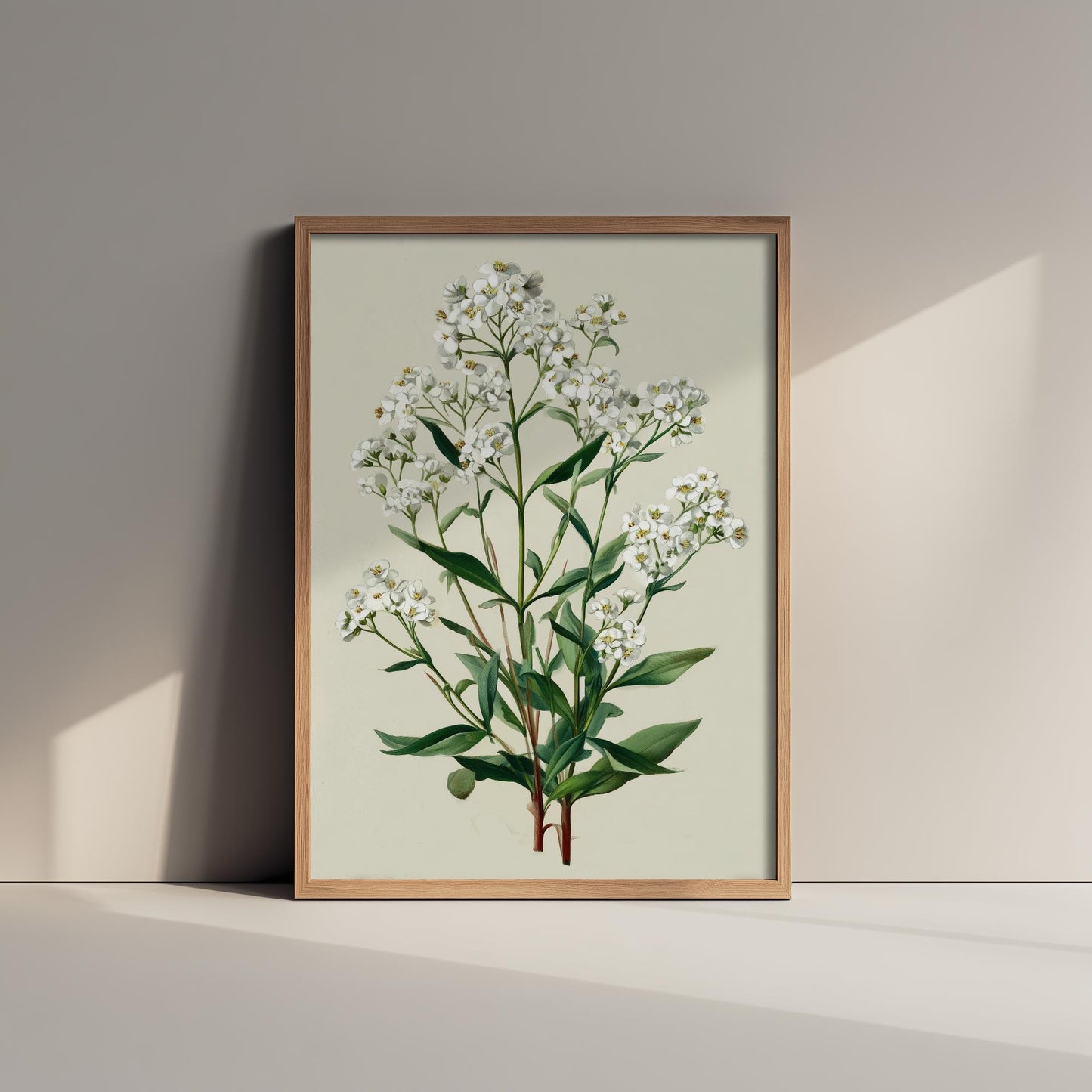 Vintage Plum Blossom or Queen Anne’s Lace Art Print, Green Poster Painting, Red Berry Heritage Wall Art 2026 V2 3/3