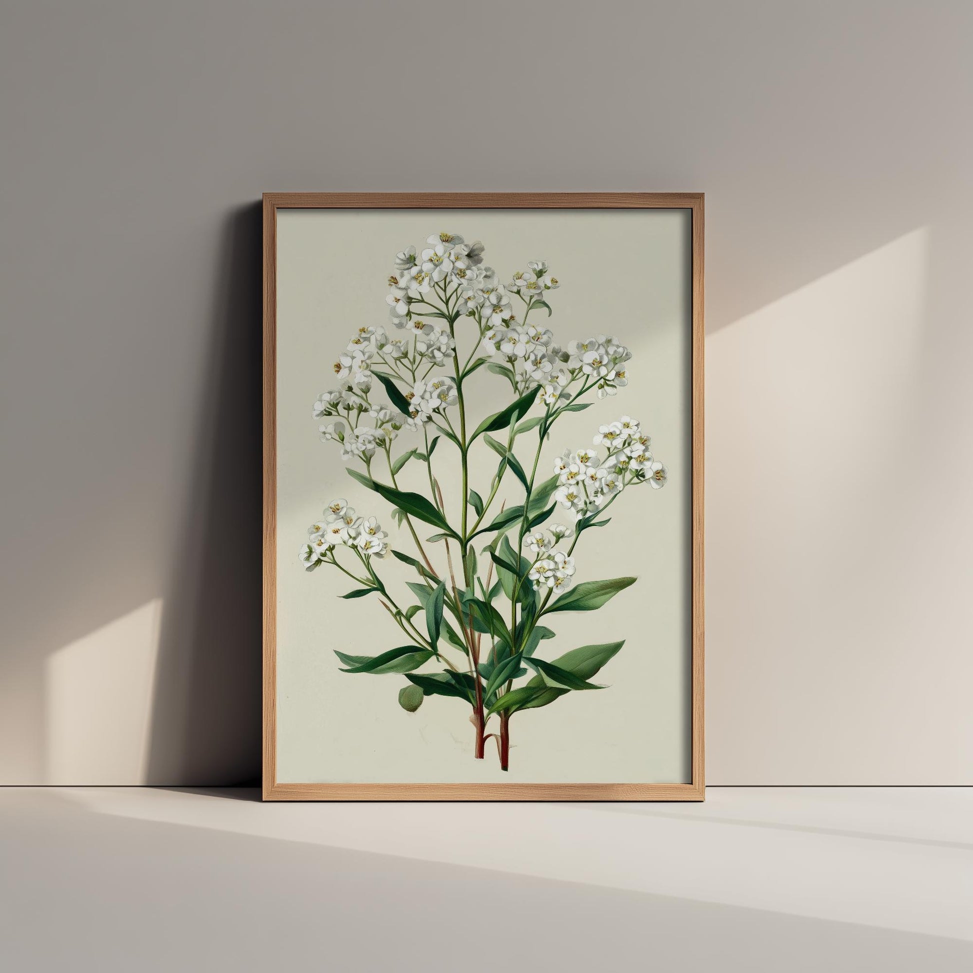 Vintage Plum Blossom or Queen Anne’s Lace Art Print, Green Poster Painting, Red Berry Heritage Wall Art 2026 V2 3/3