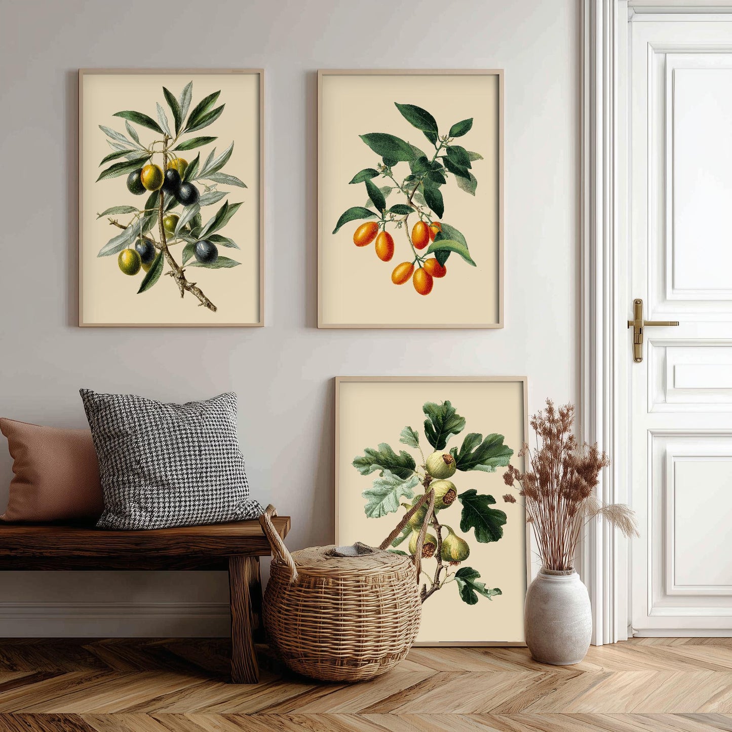 Set of Three Vintage Botanical Fruit Art Prints - 3 Paintings of Olives, Kumquats and Figs - Poster Cooking Kitchen
