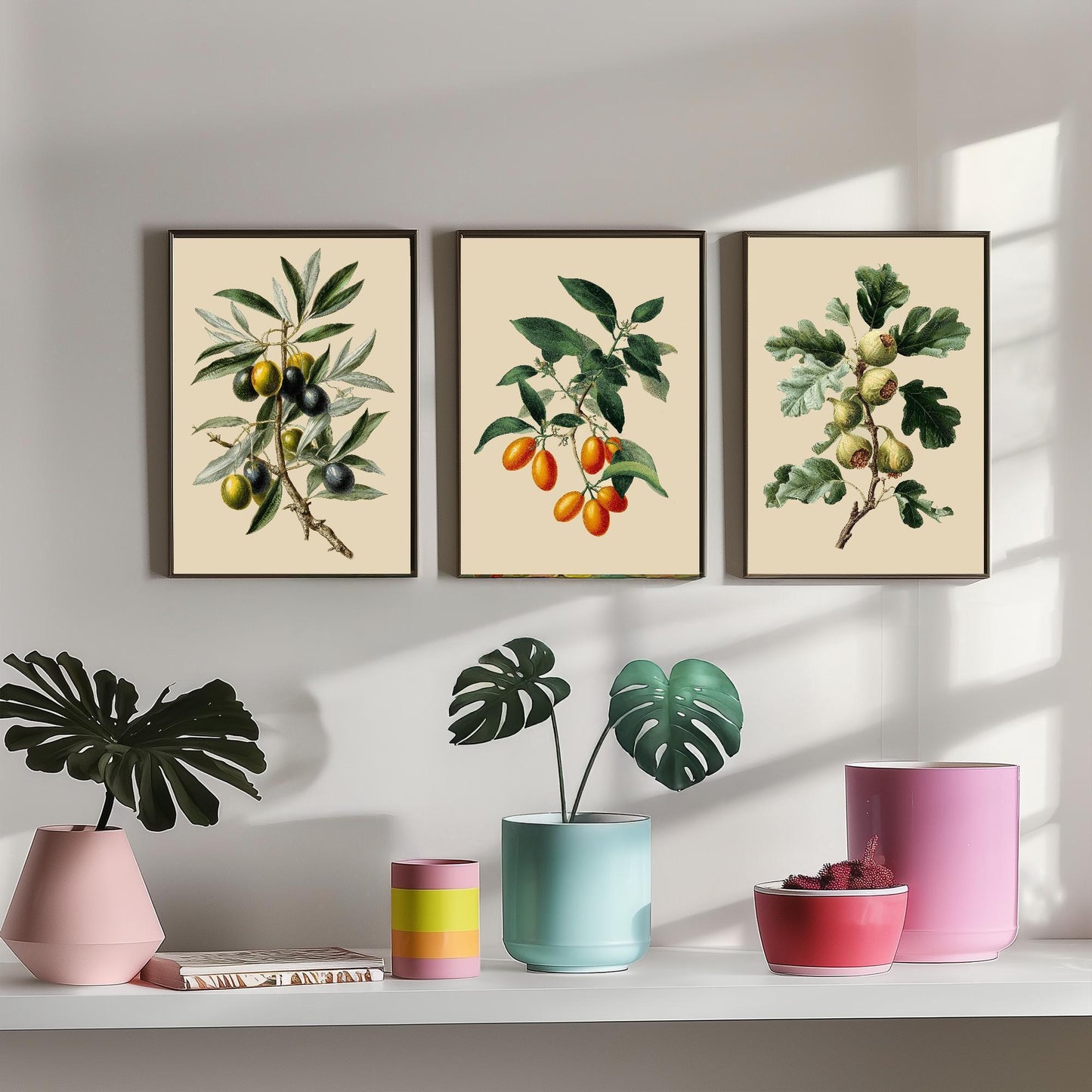 Set of Three Vintage Botanical Fruit Art Prints - 3 Paintings of Olives, Kumquats and Figs - Poster Cooking Kitchen