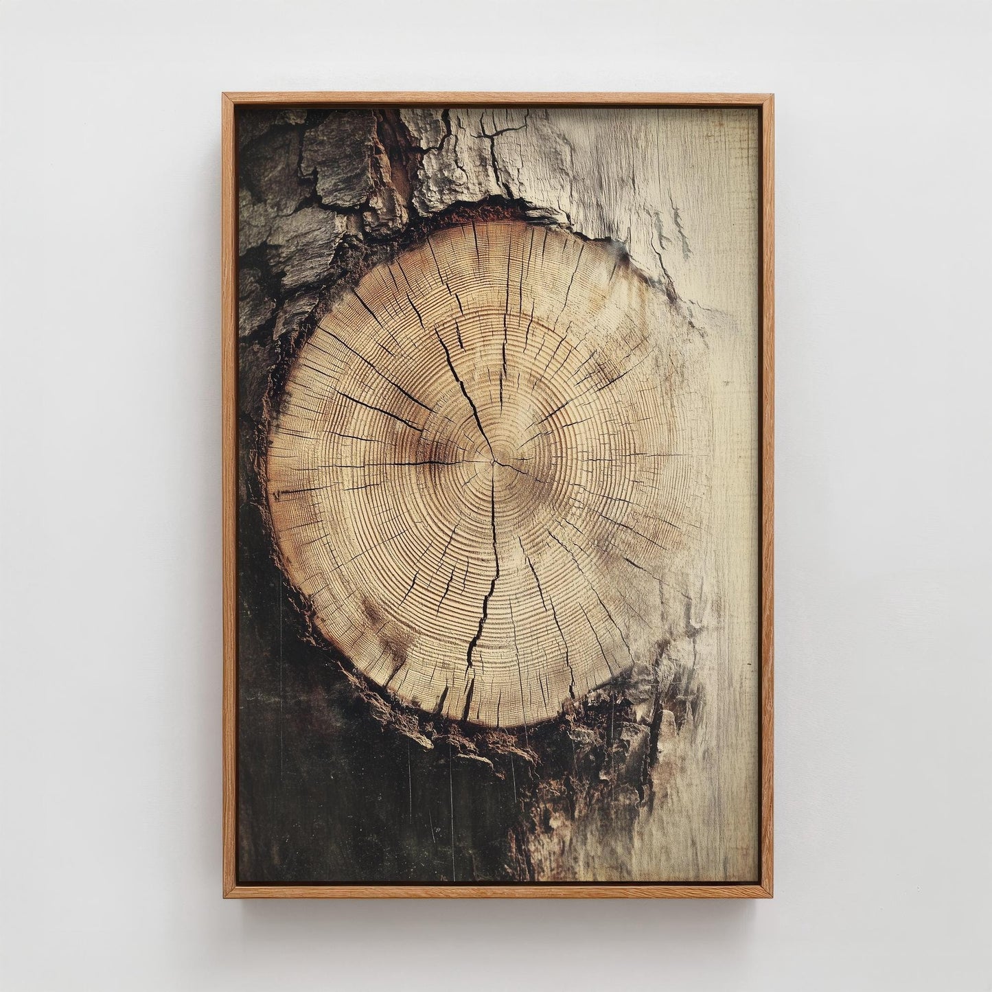 Tree Rings Stumps Painting V2 - Natural Pattern Art Print - Photo Poster Wall Gift Giclée Décor, Organic Wood Wooden Aged 1/3