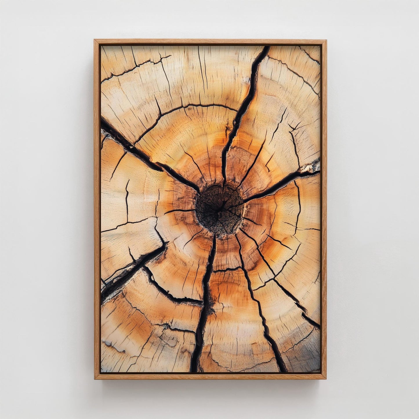 Tree Rings Stumps Painting V5 - Natural Pattern Art Print - Photo Poster Wall Gift Giclée Décor, Organic Wood Wooden Aged 1/3