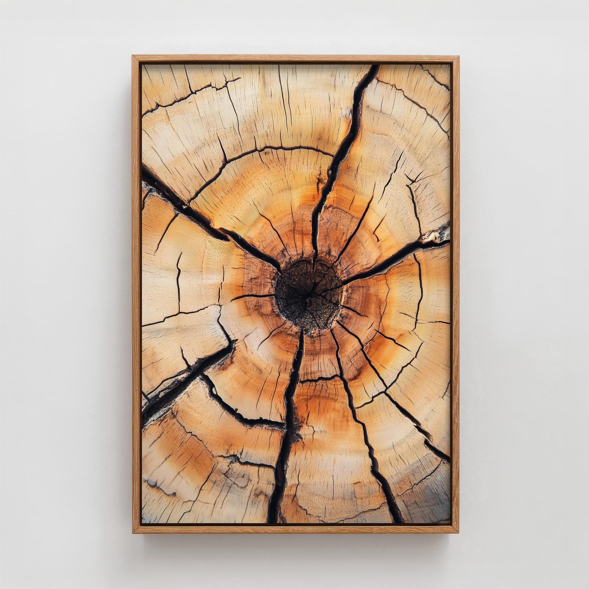 Tree Rings Stumps Painting V5 - Natural Pattern Art Print - Photo Poster Wall Gift Giclée Décor, Organic Wood Wooden Aged 1/3