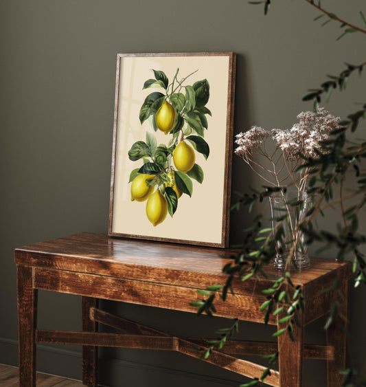Lemons Vintage Botanical Fruit Art Print - Painting - Poster Cooking Kitchen