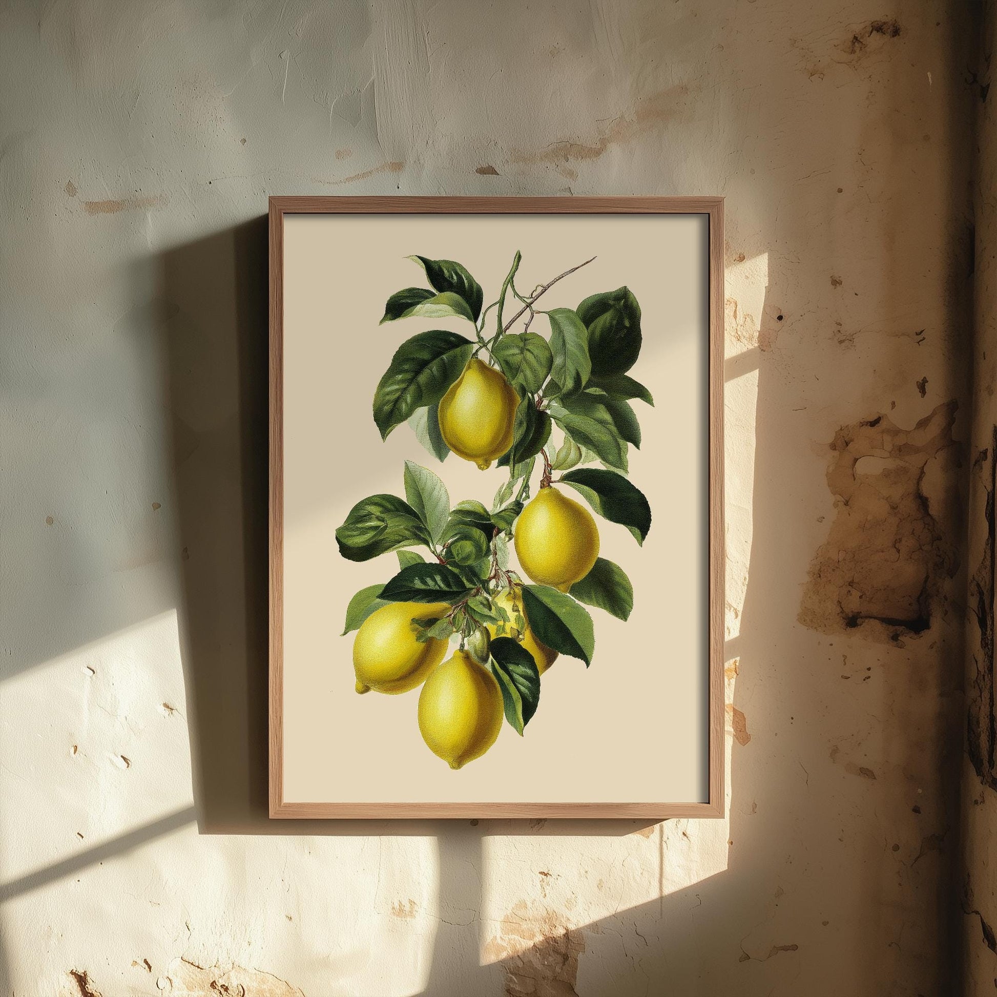 Lemons Vintage Botanical Fruit Art Print - Painting - Poster Cooking Kitchen