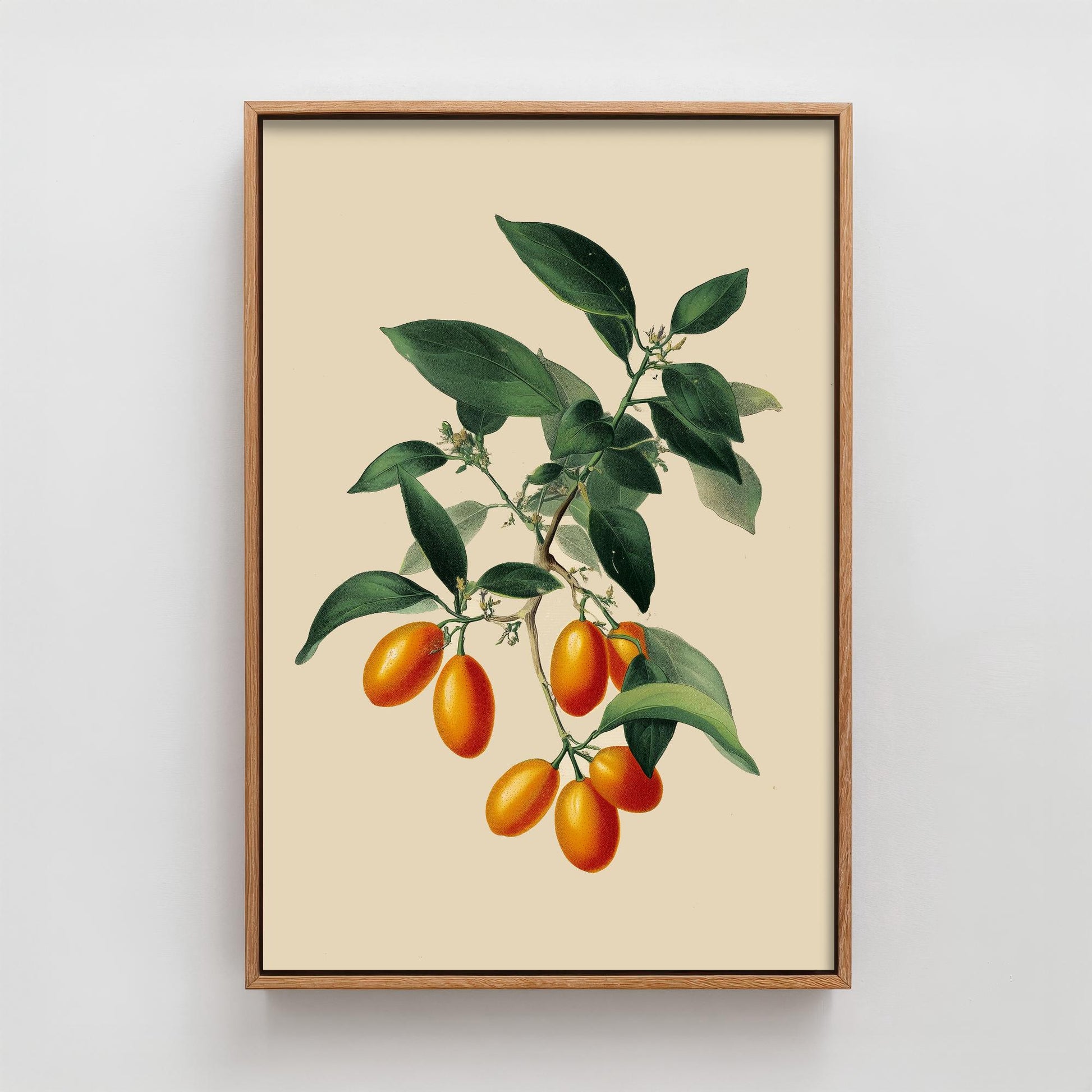 Kumquats Vintage Botanical Fruit Art Print - Painting - Poster Cooking Kitchen