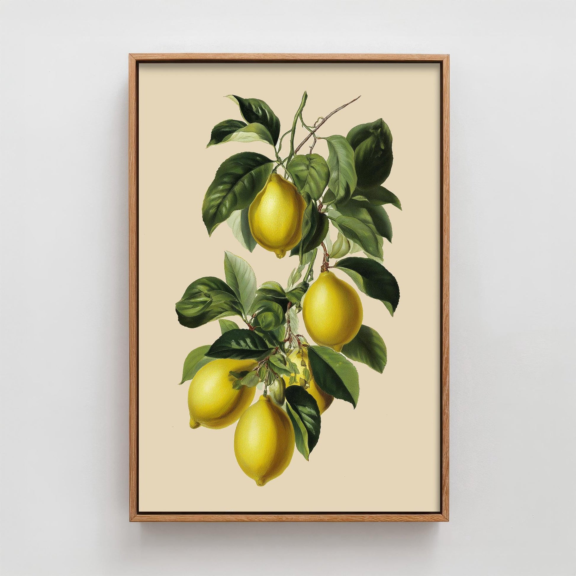 Lemons Vintage Botanical Fruit Art Print - Painting - Poster Cooking Kitchen