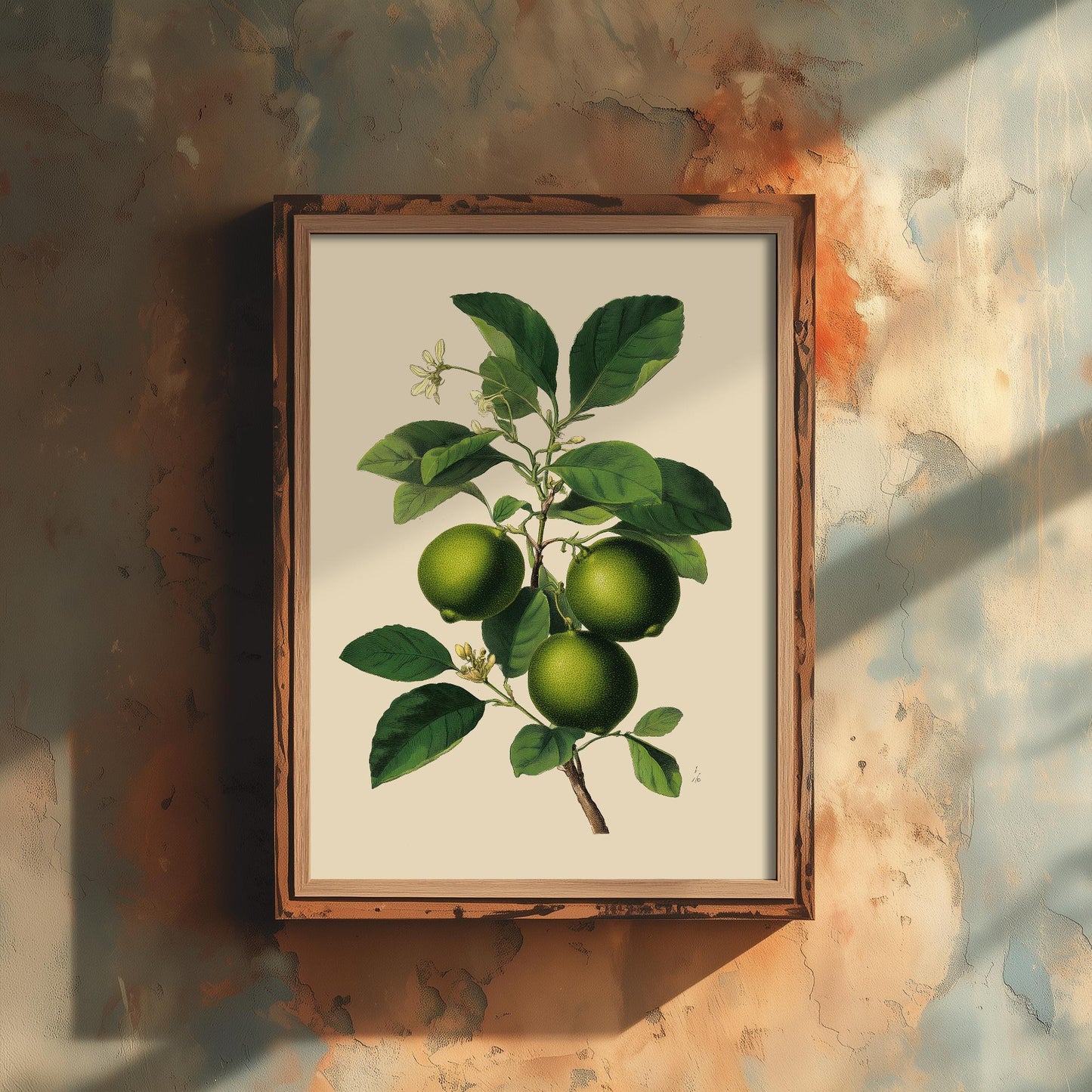 Limes Vintage Botanical Fruit Art Print - Painting - Poster Cooking Kitchen